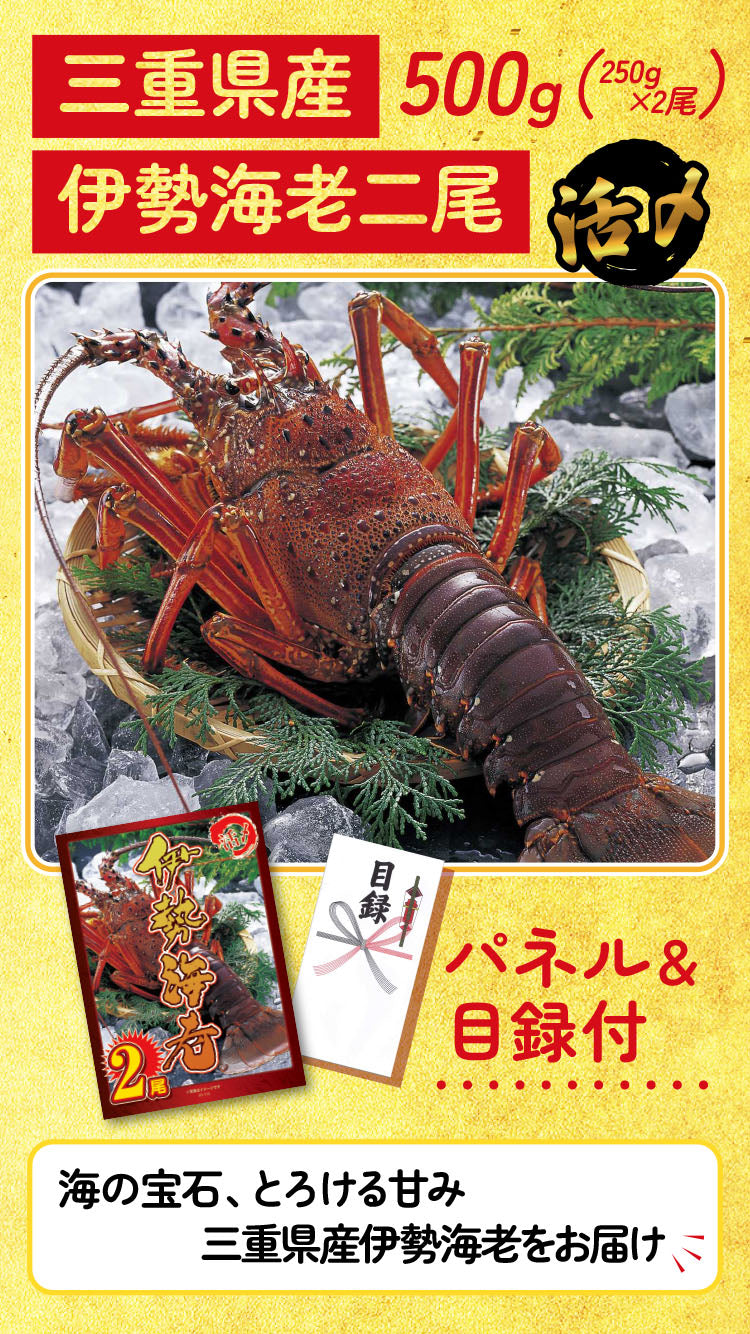 景品 伊勢海老500gが目玉!地ビール、国産うなぎ、紅ズワイガニなど5点セット(KY-173b3)