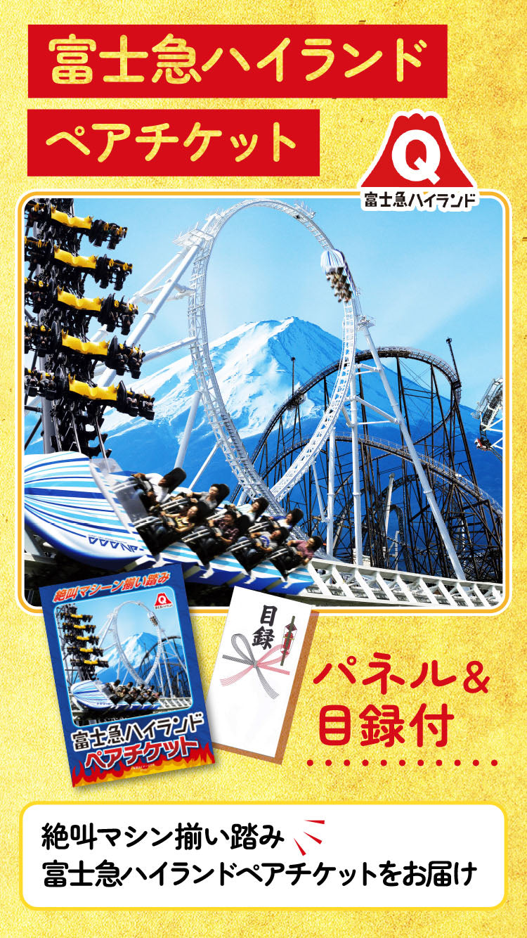 【単品】景品 富士急ハイランドペアチケット【パネル・目録付き】