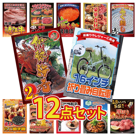 折り畳み自転車(MG-CM16L)12点セット