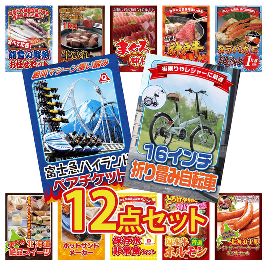 折り畳み自転車(MG-CM16L)12点セット