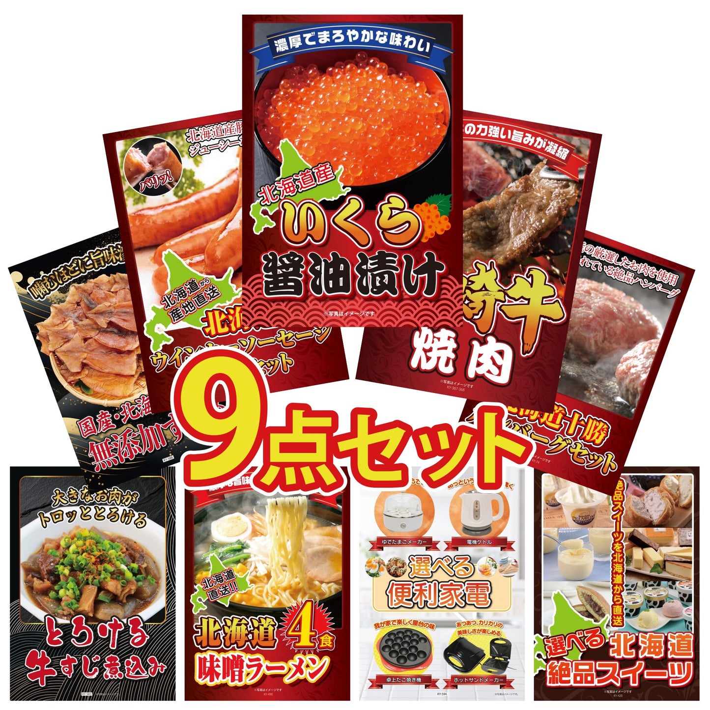 北海道 いくら醤油漬け（200ｇ）9点セット