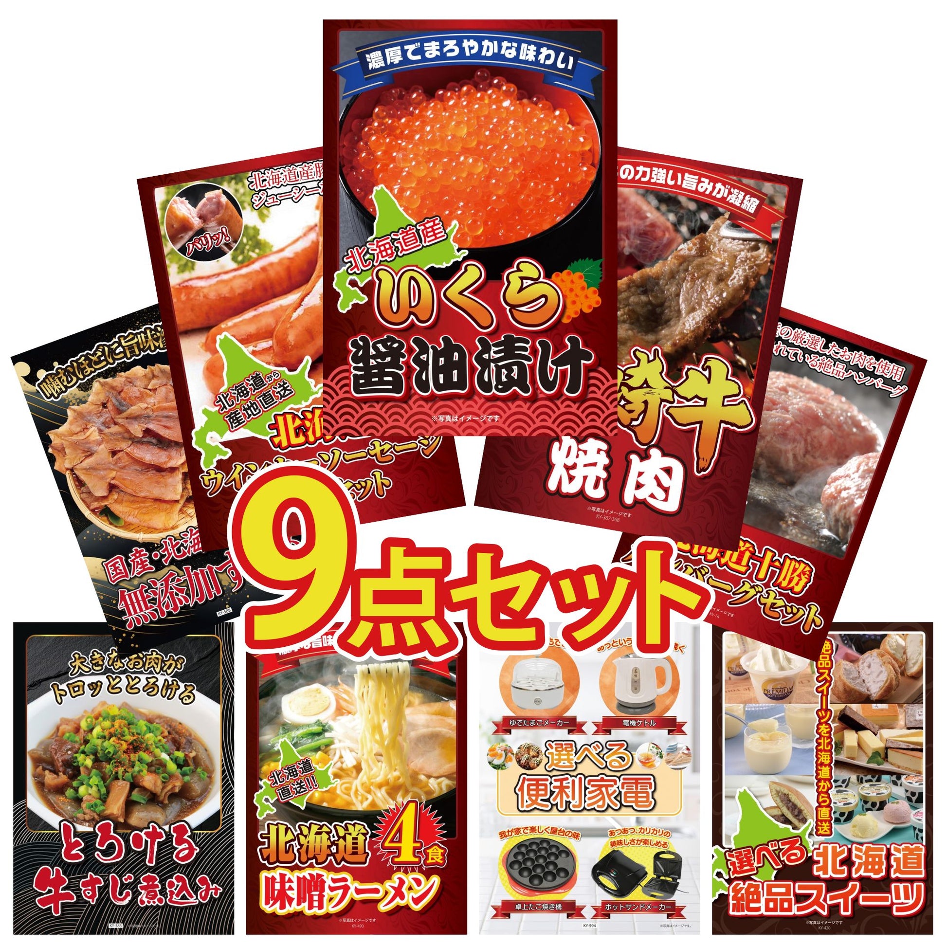 北海道 いくら醤油漬け（200ｇ）9点セット