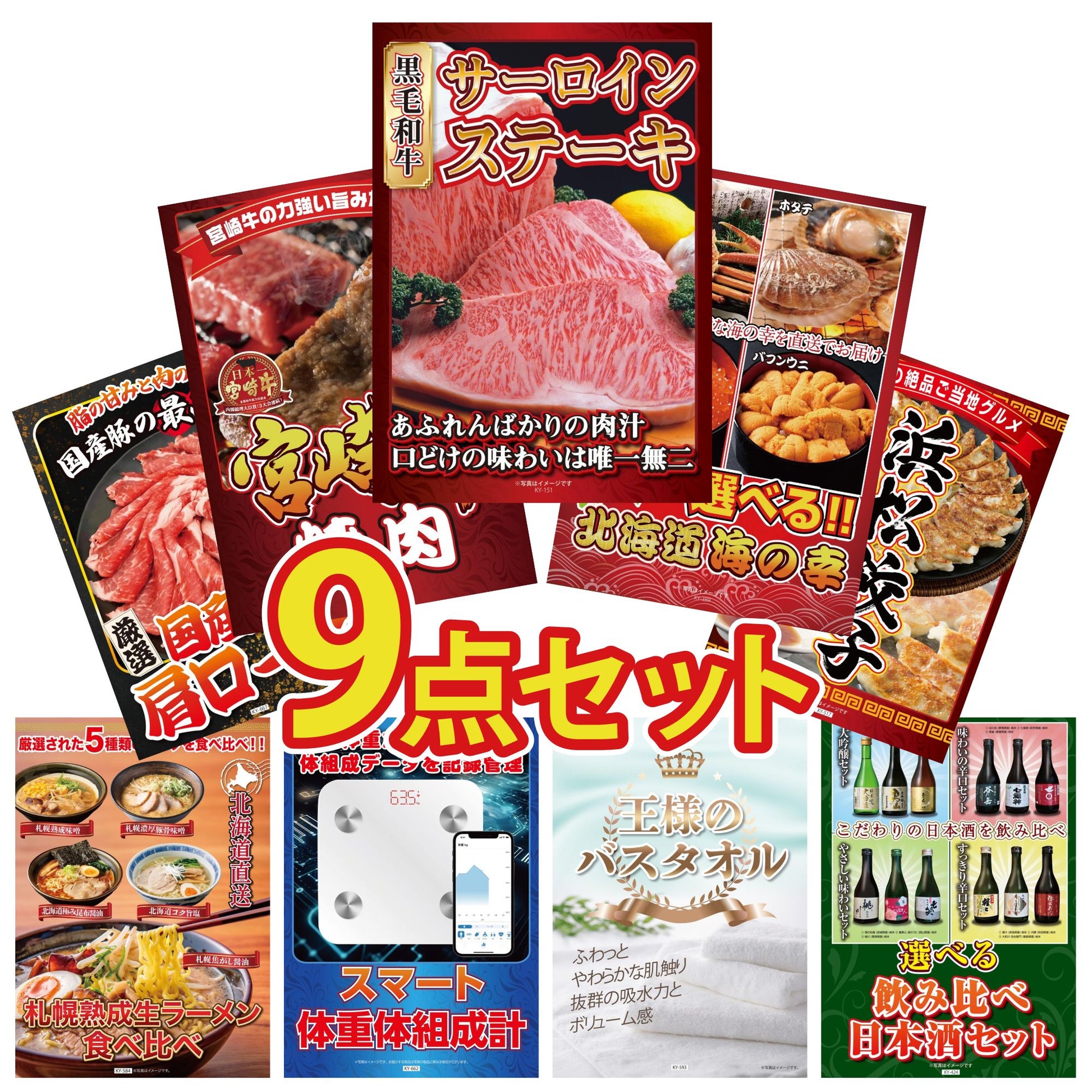 国産牛 サーロインステーキ(500g)9点セット