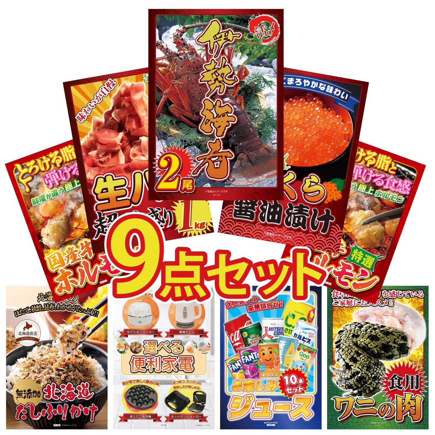 伊勢海老 500g（bbq-001-7-5）9点セット