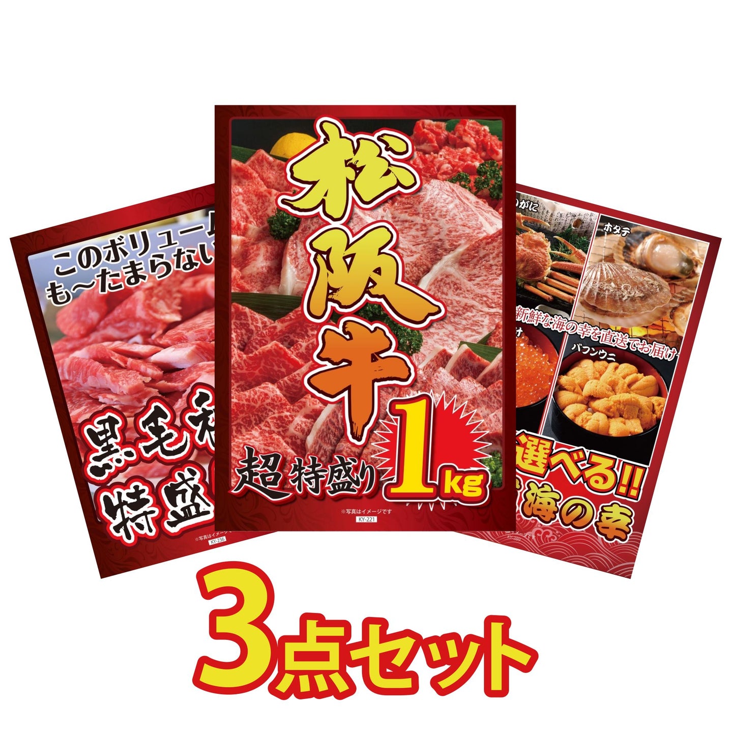 松阪牛 1kg 3点セット(KY-221)