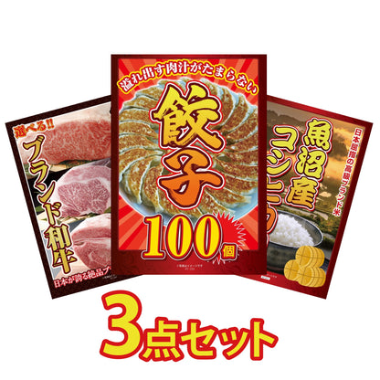 餃子100個(10個入×10)3点セット