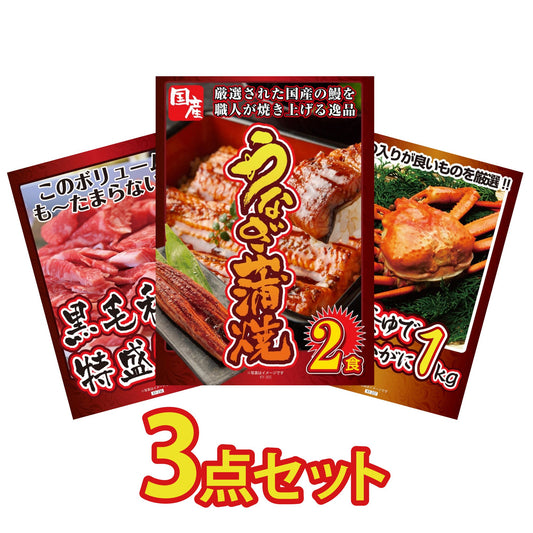国産 うなぎ蒲焼 3点セット(KY-305a2)