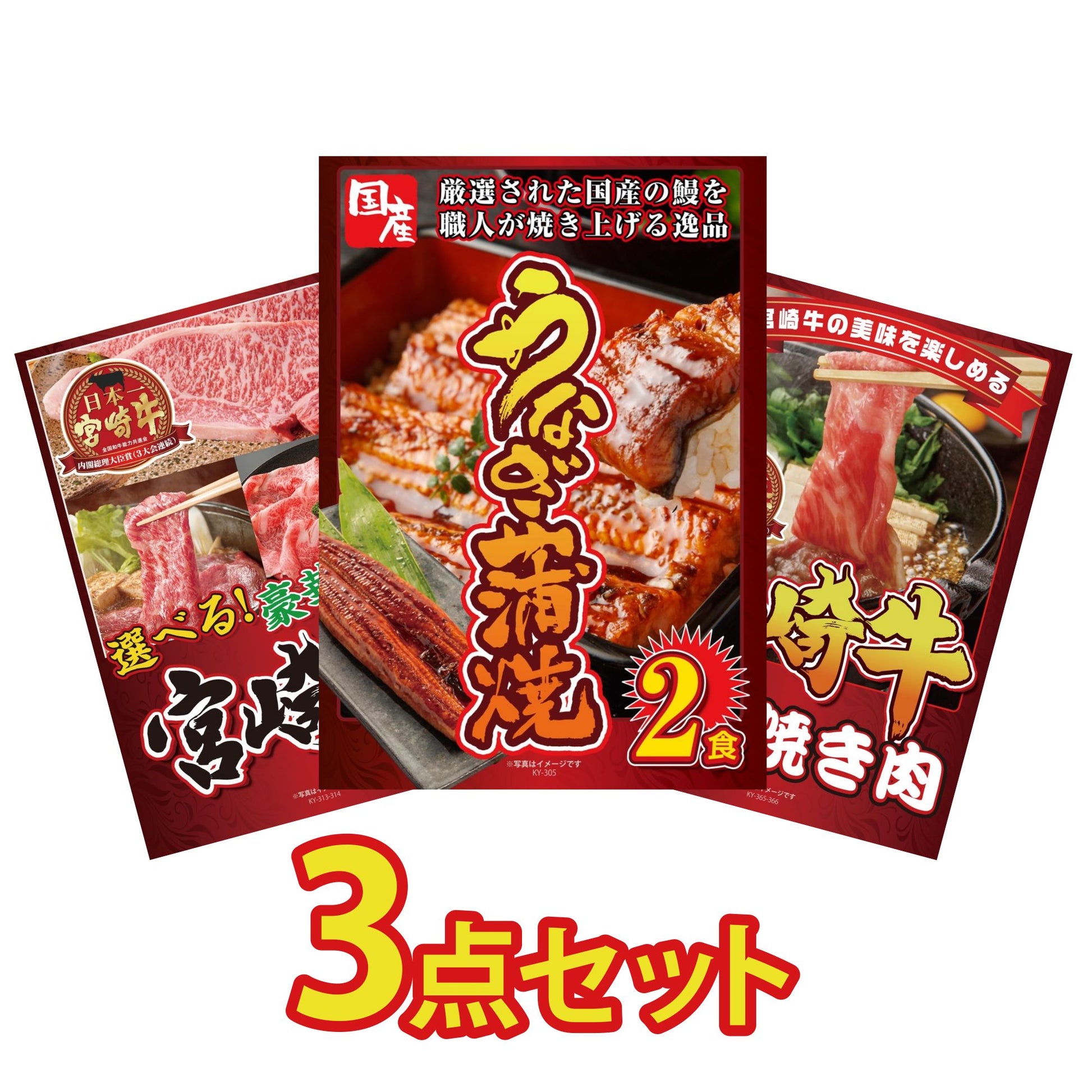 国産 うなぎ蒲焼(120g×2) 3点セット(KY-305)
