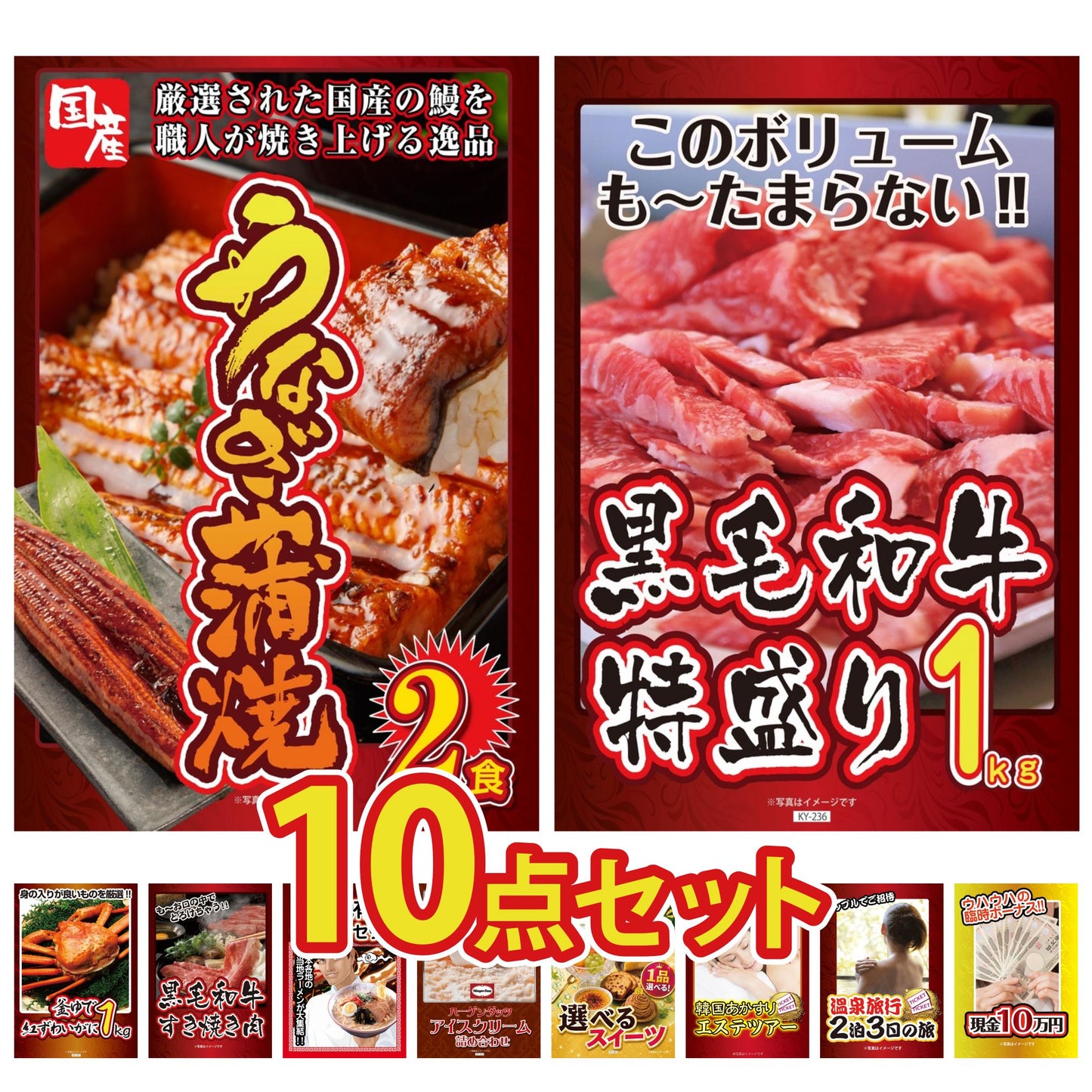 国産 うなぎ蒲焼 10点セット(KY-305d2)