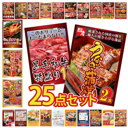 国産 うなぎ蒲焼(120g×2) 25点セット(KY-305)