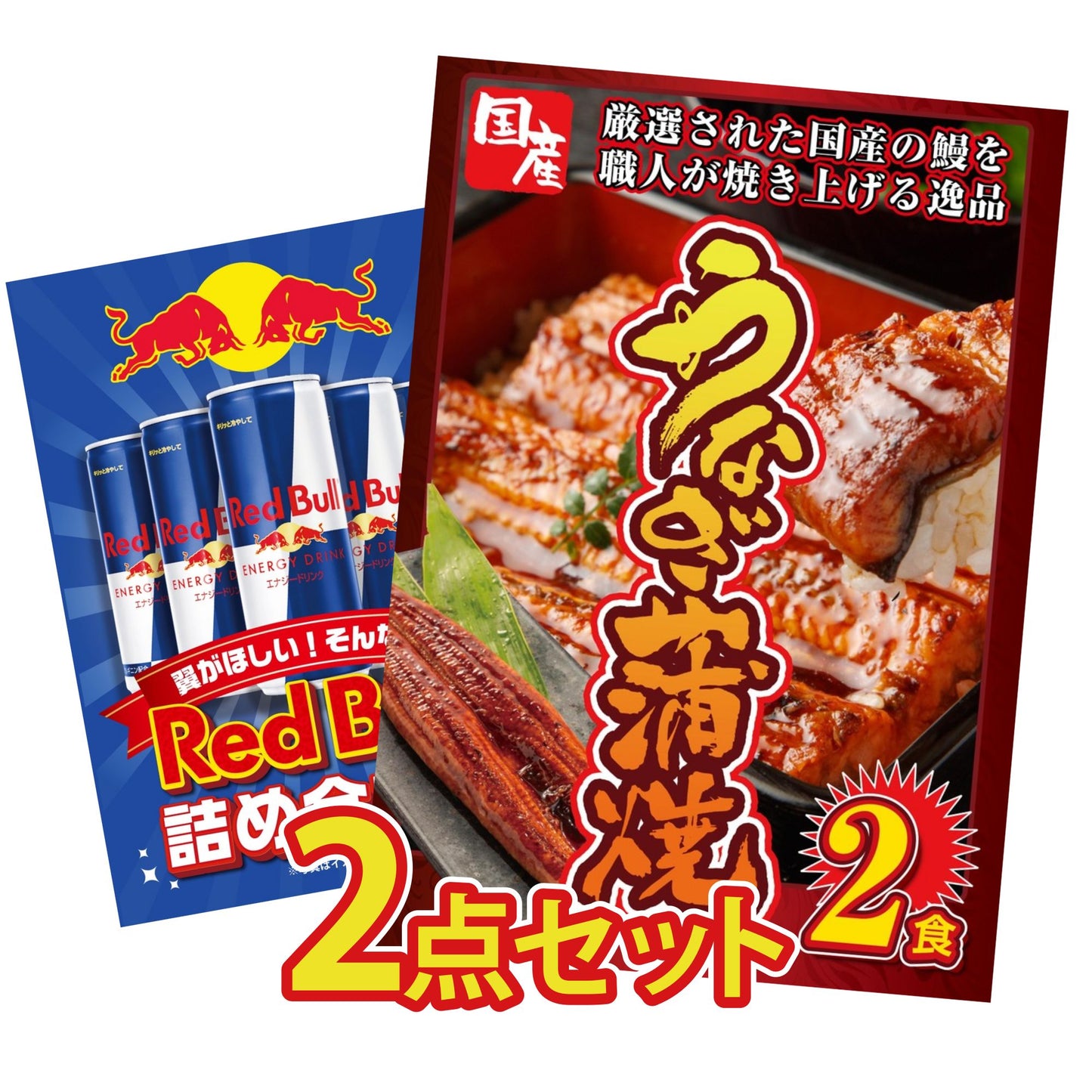 国産 うなぎ蒲焼(120g×2) 2点セット(KY-305)
