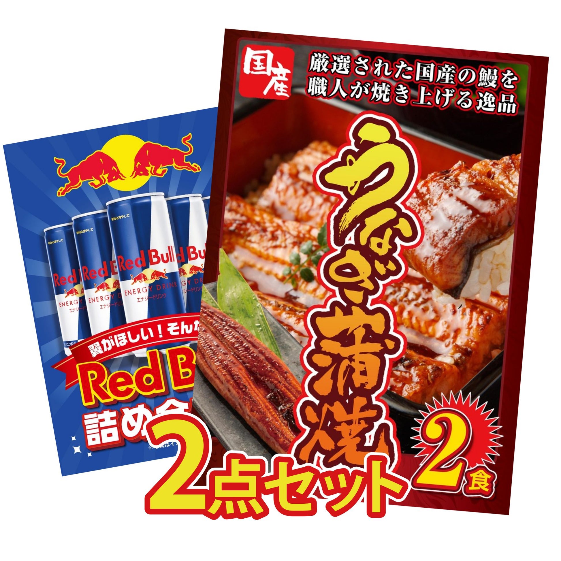 国産 うなぎ蒲焼(120g×2) 2点セット(KY-305)