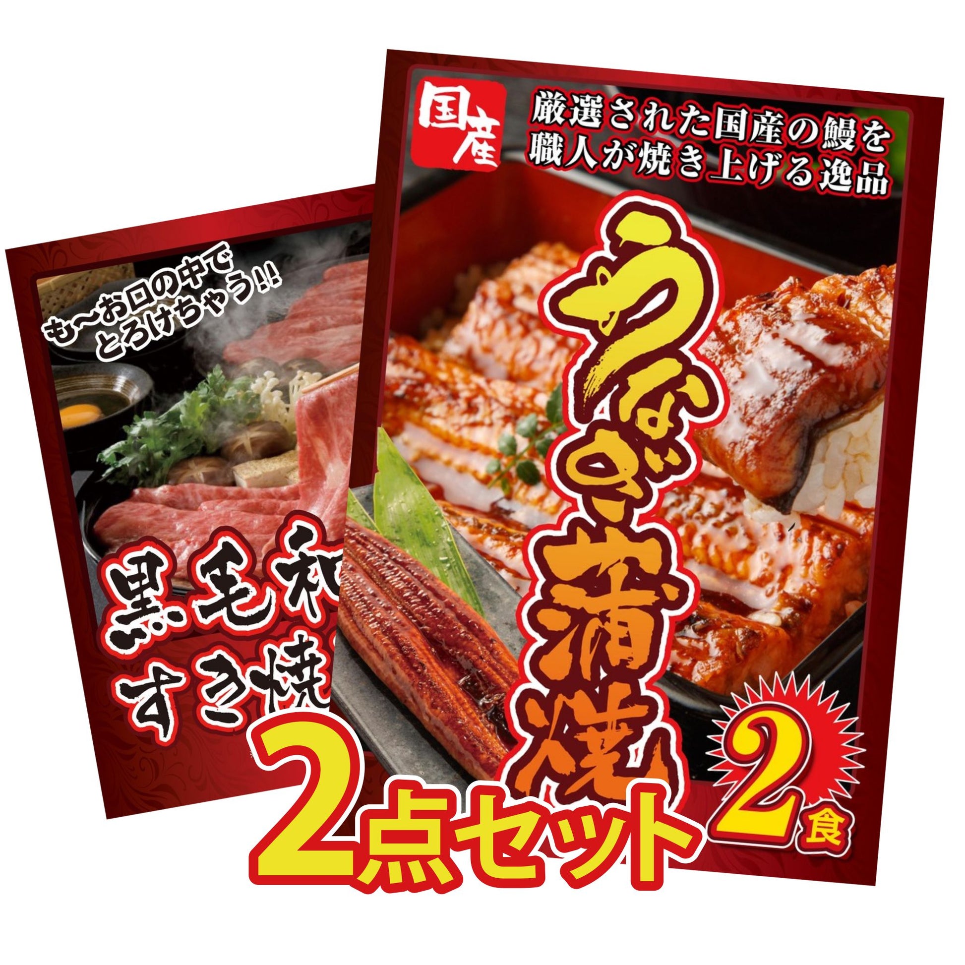 国産 うなぎ蒲焼(120g×2) 2点セット(KY-305)
