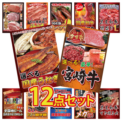 選べる宮崎牛 Bコース12点セット