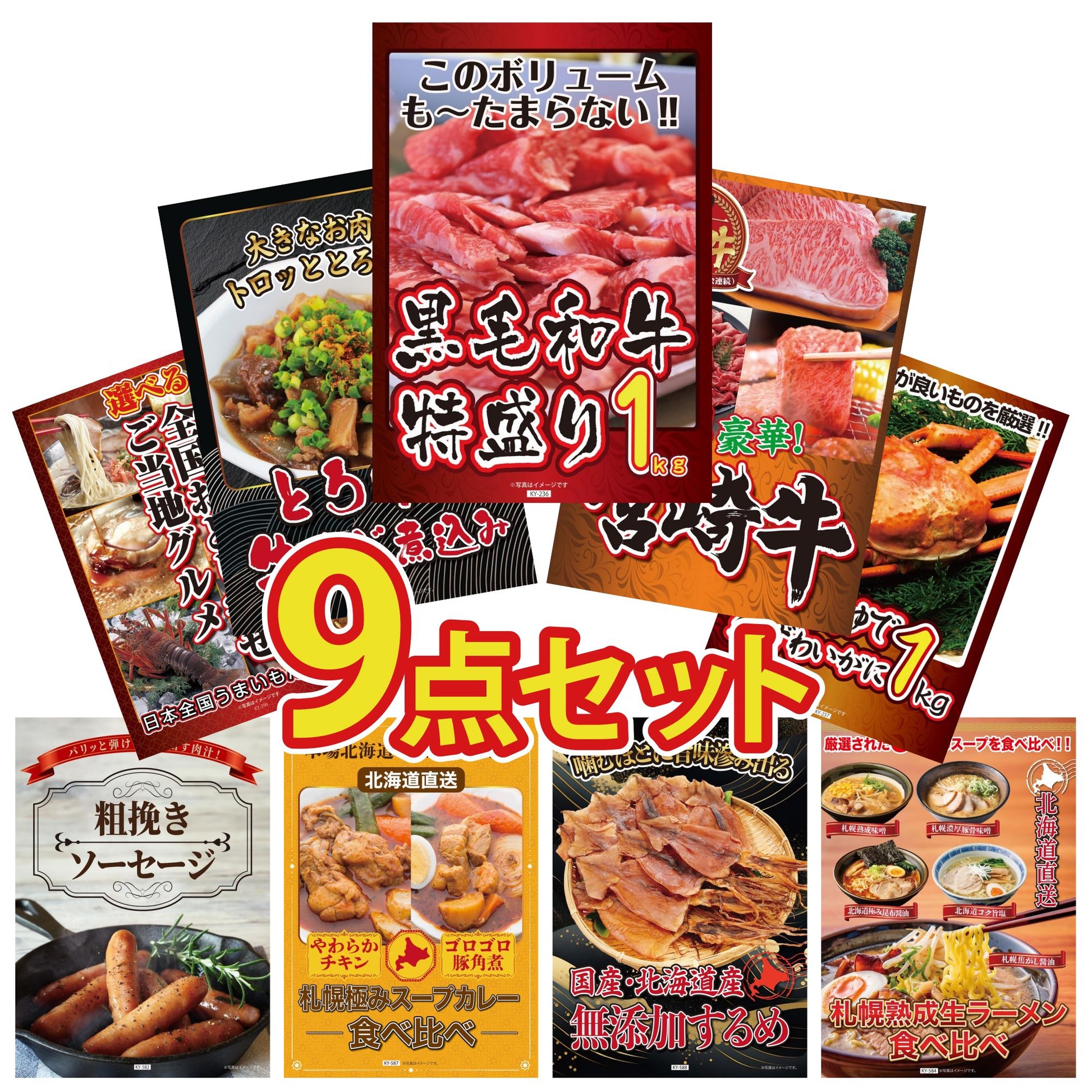 選べる宮崎牛 Bコース 9点セット