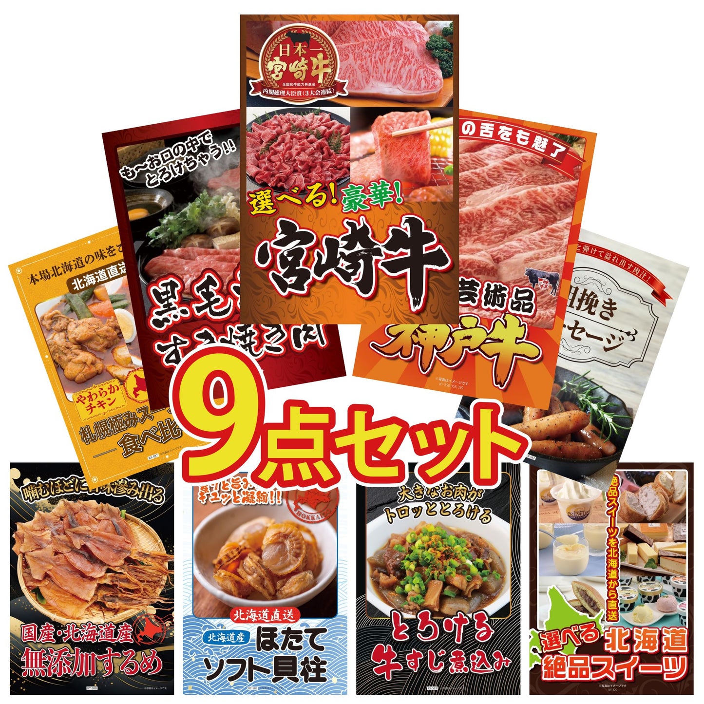 選べる宮崎牛 Bコース 9点セット