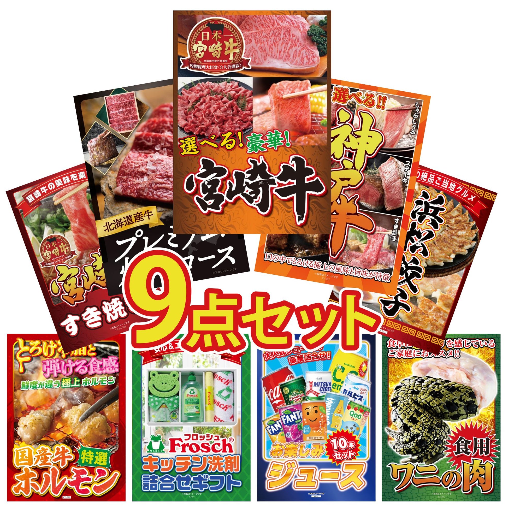 選べる宮崎牛 Bコース9点セット