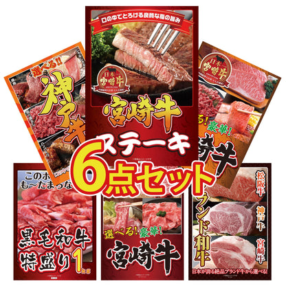 宮崎牛ロースステーキ(150g×2)6点セット