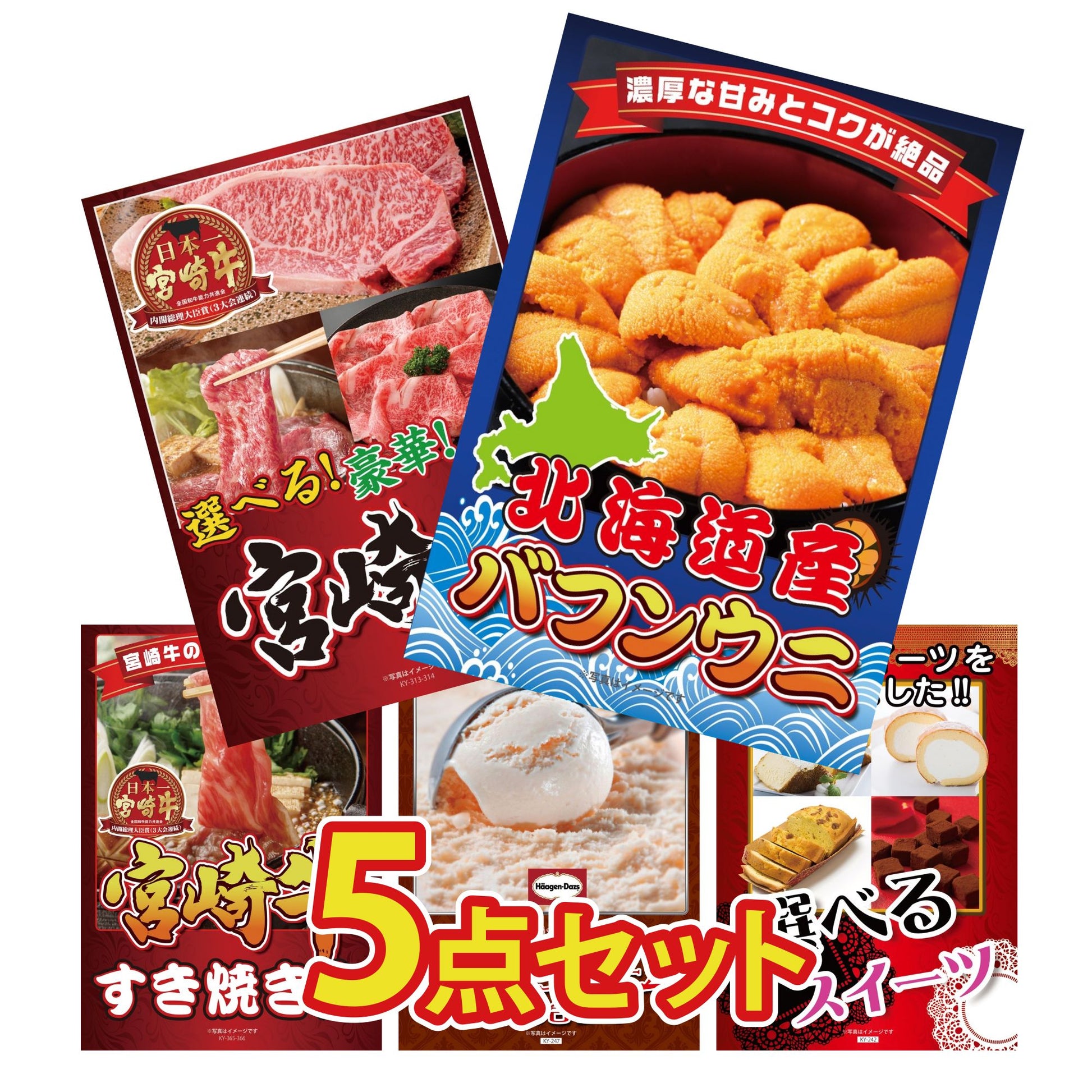 北海道 塩水バフンウニ(100g) 5点セット(KY-317)