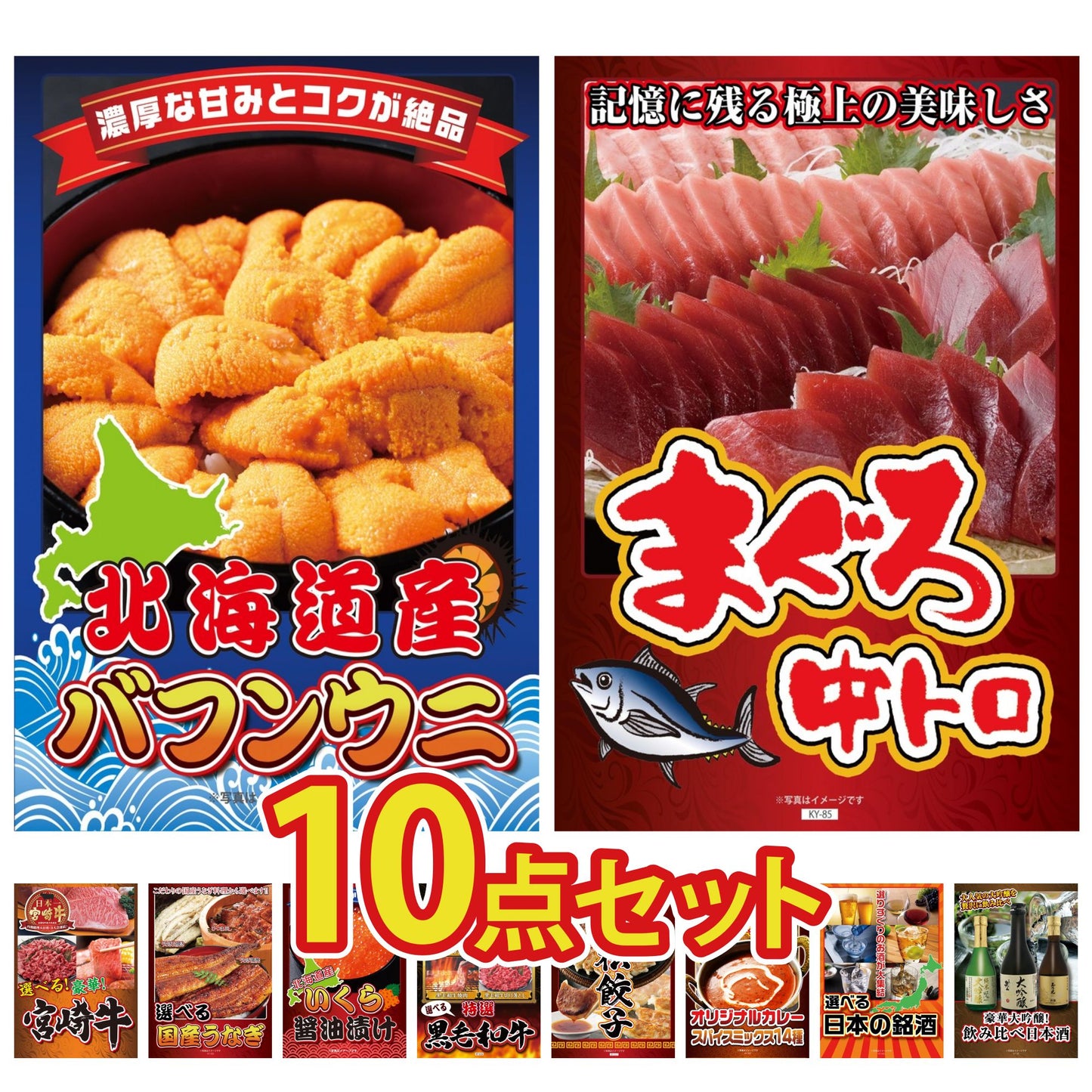 北海道 塩水バフンウニ(100g) 10点セット(KY-317)