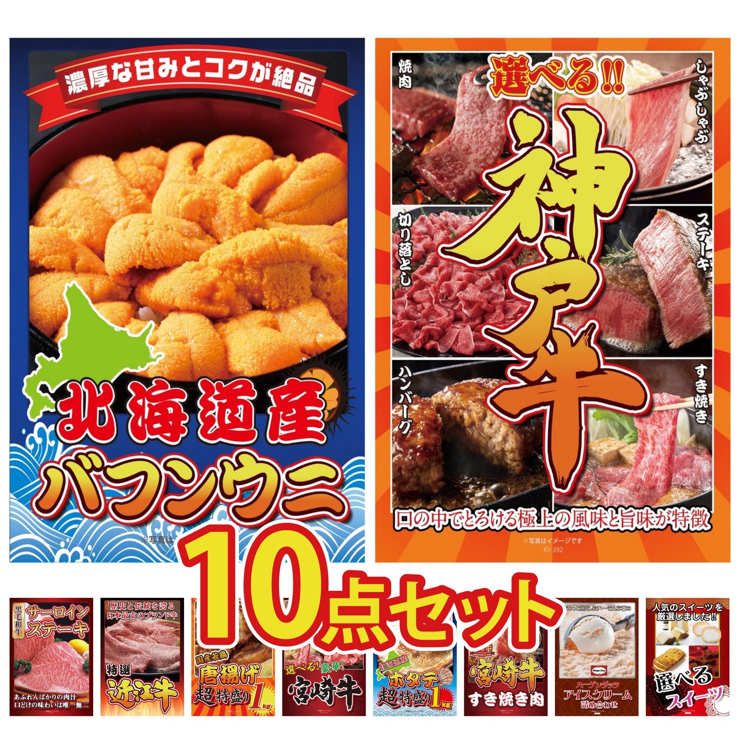 北海道 塩水バフンウニ(100g) 10点セット(KY-317)