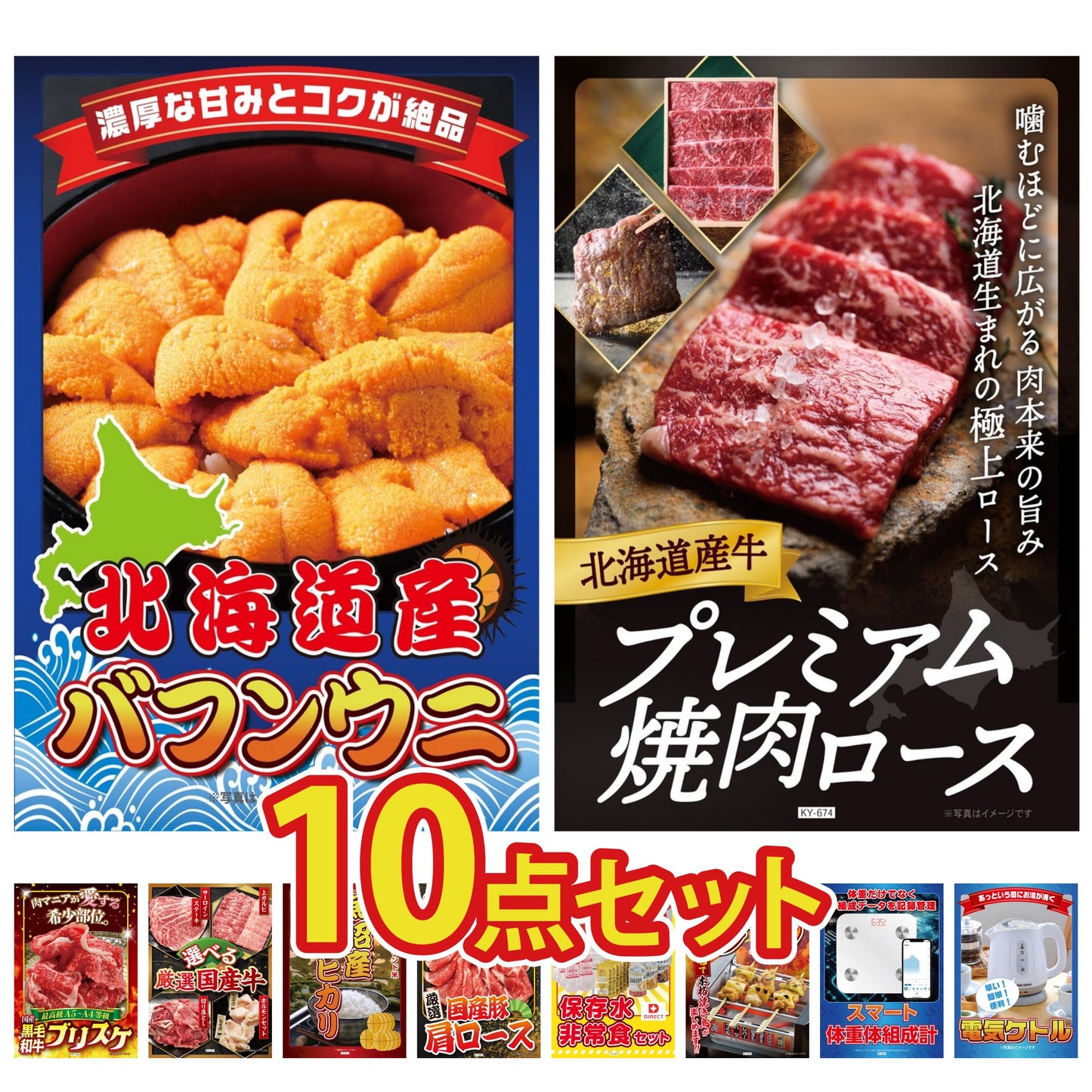 北海道 塩水バフンウニ(100g) 10点セット(KY-317)