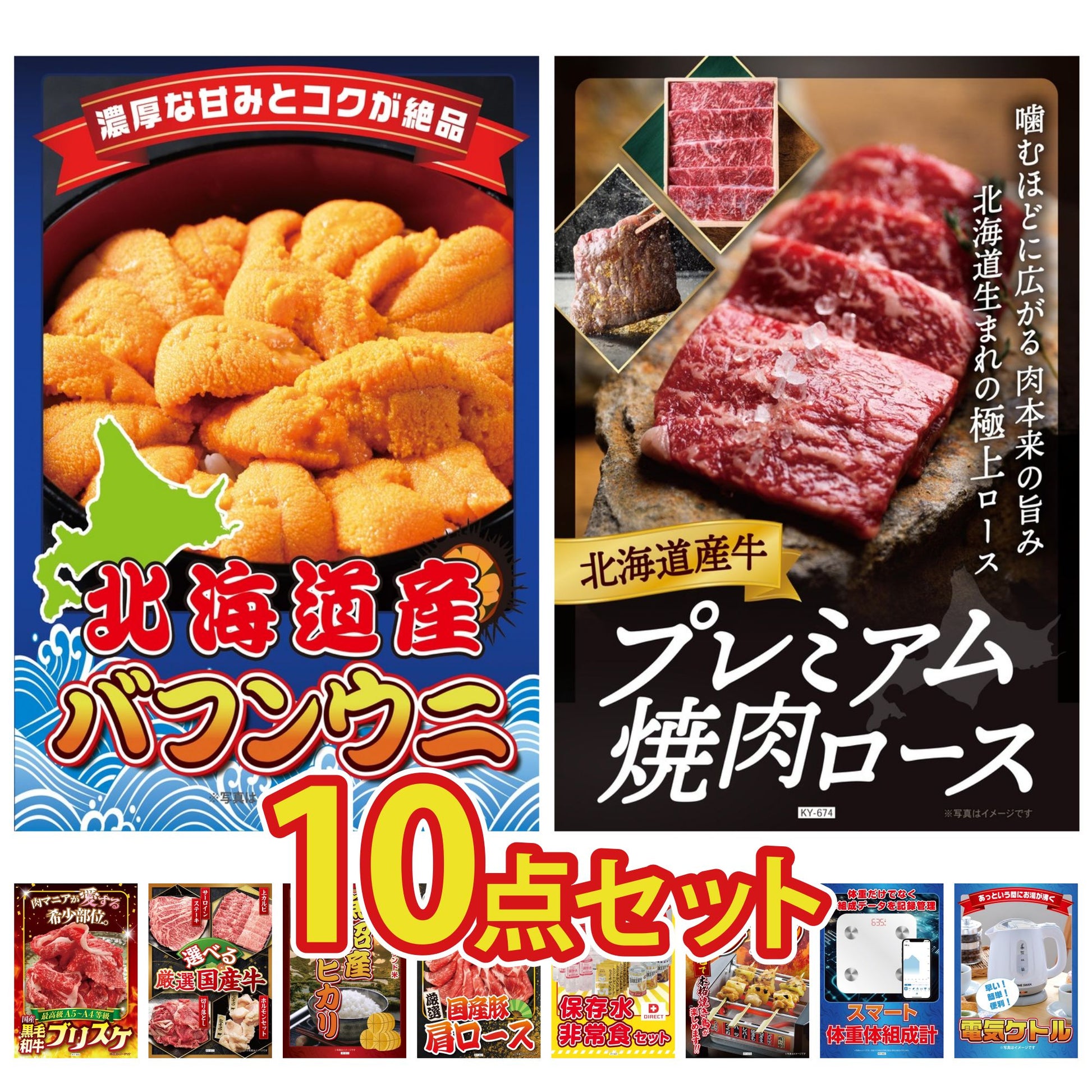 北海道 塩水バフンウニ(100g) 10点セット(KY-317)