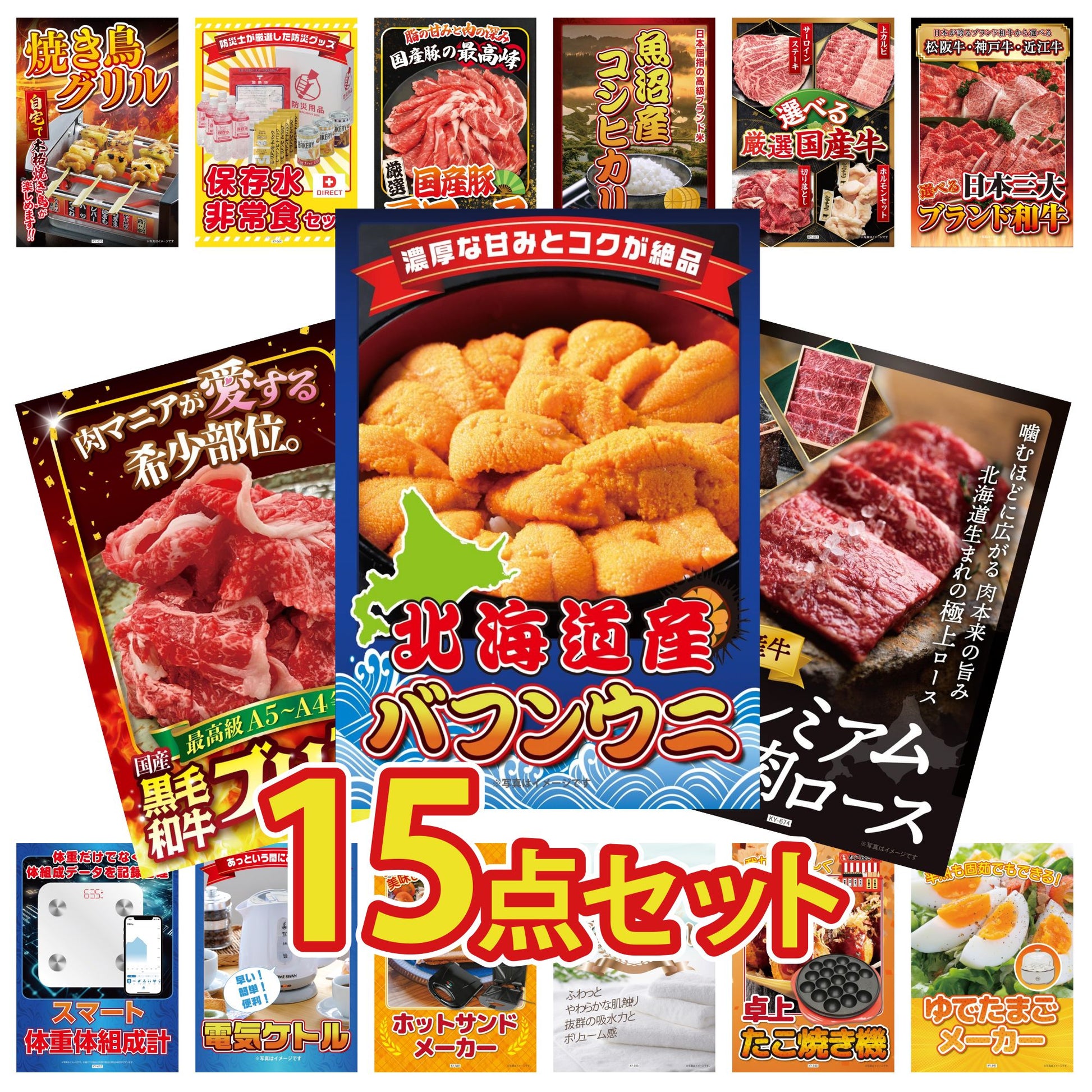 北海道 塩水バフンウニ(100g) 15点セット(KY-317)