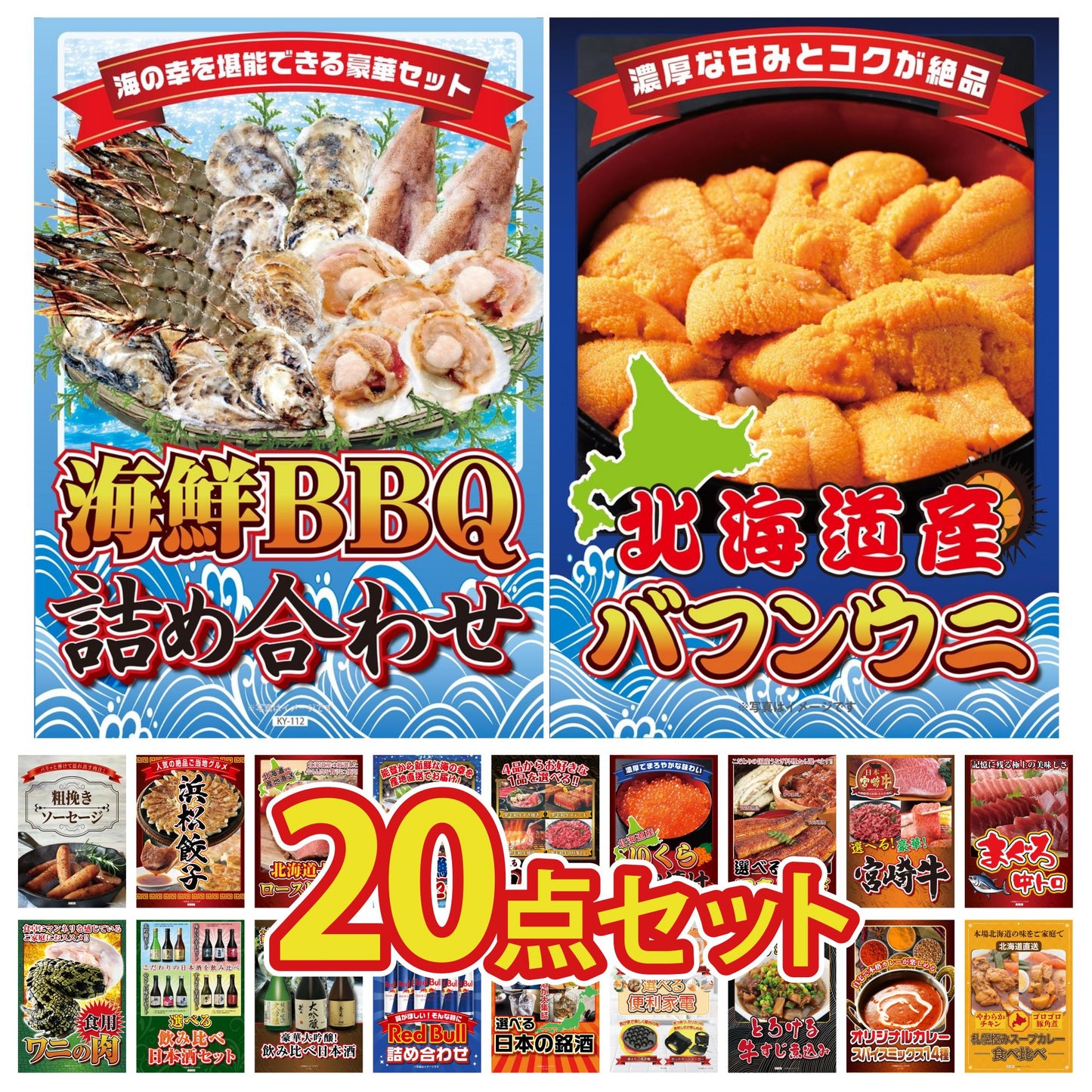 北海道 塩水バフンウニ(100g) 20点セット(KY-317)