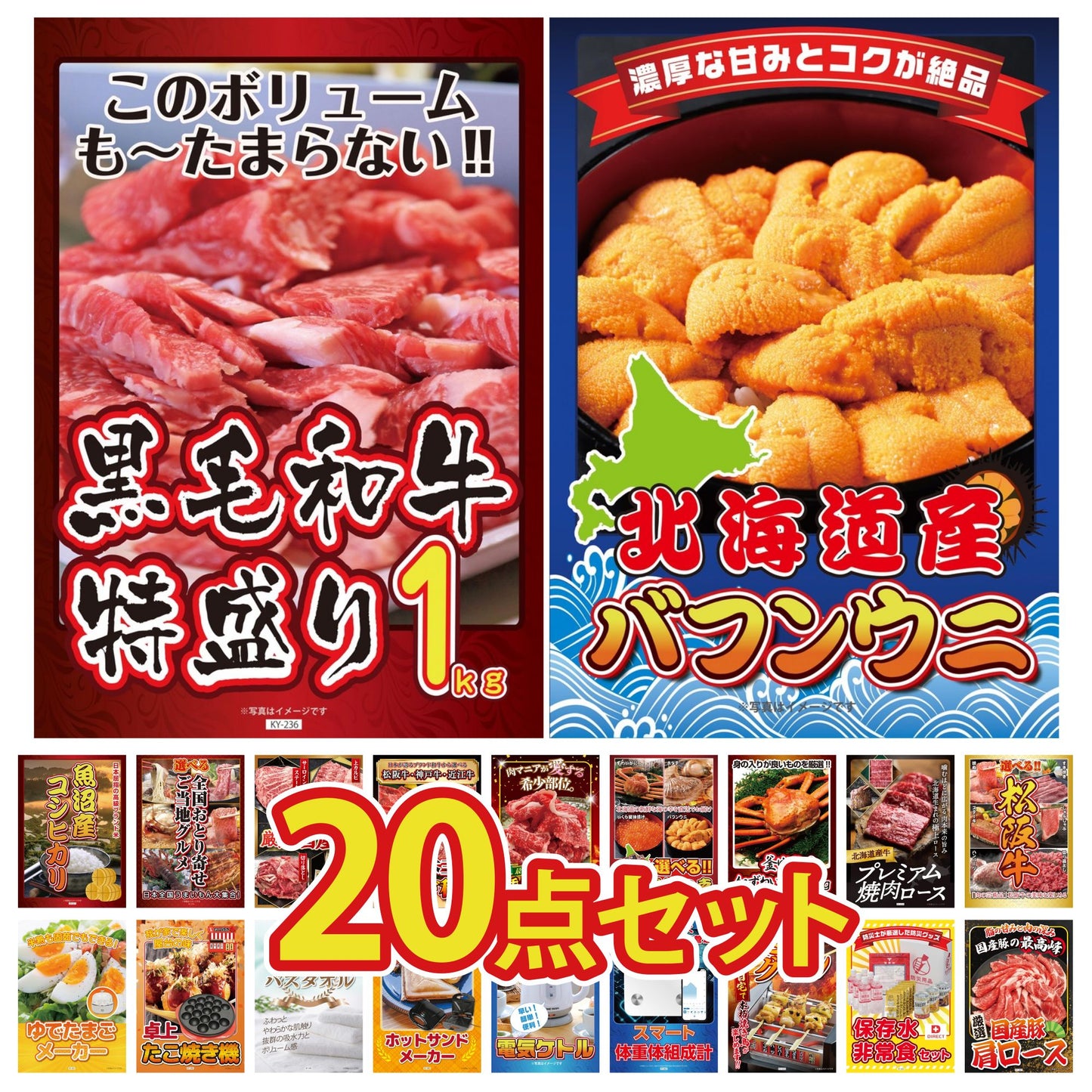 北海道 塩水バフンウニ(100g) 20点セット(KY-317)