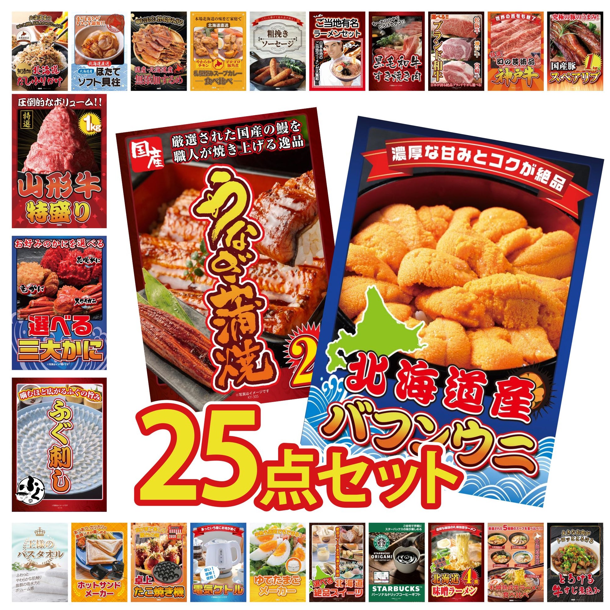 北海道 塩水バフンウニ(100g) 25点セット