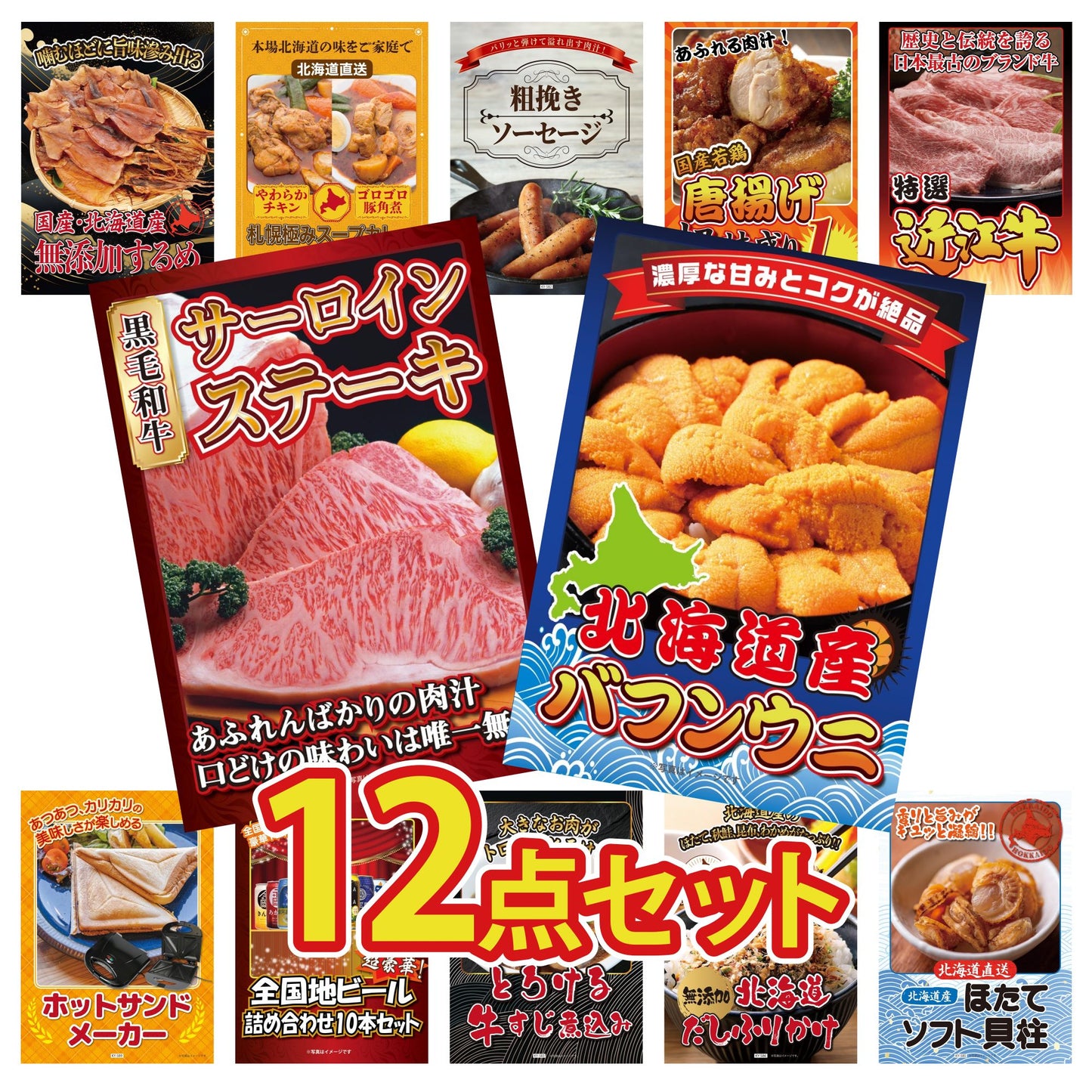 北海道 塩水バフンウニ(100g) 12点セット