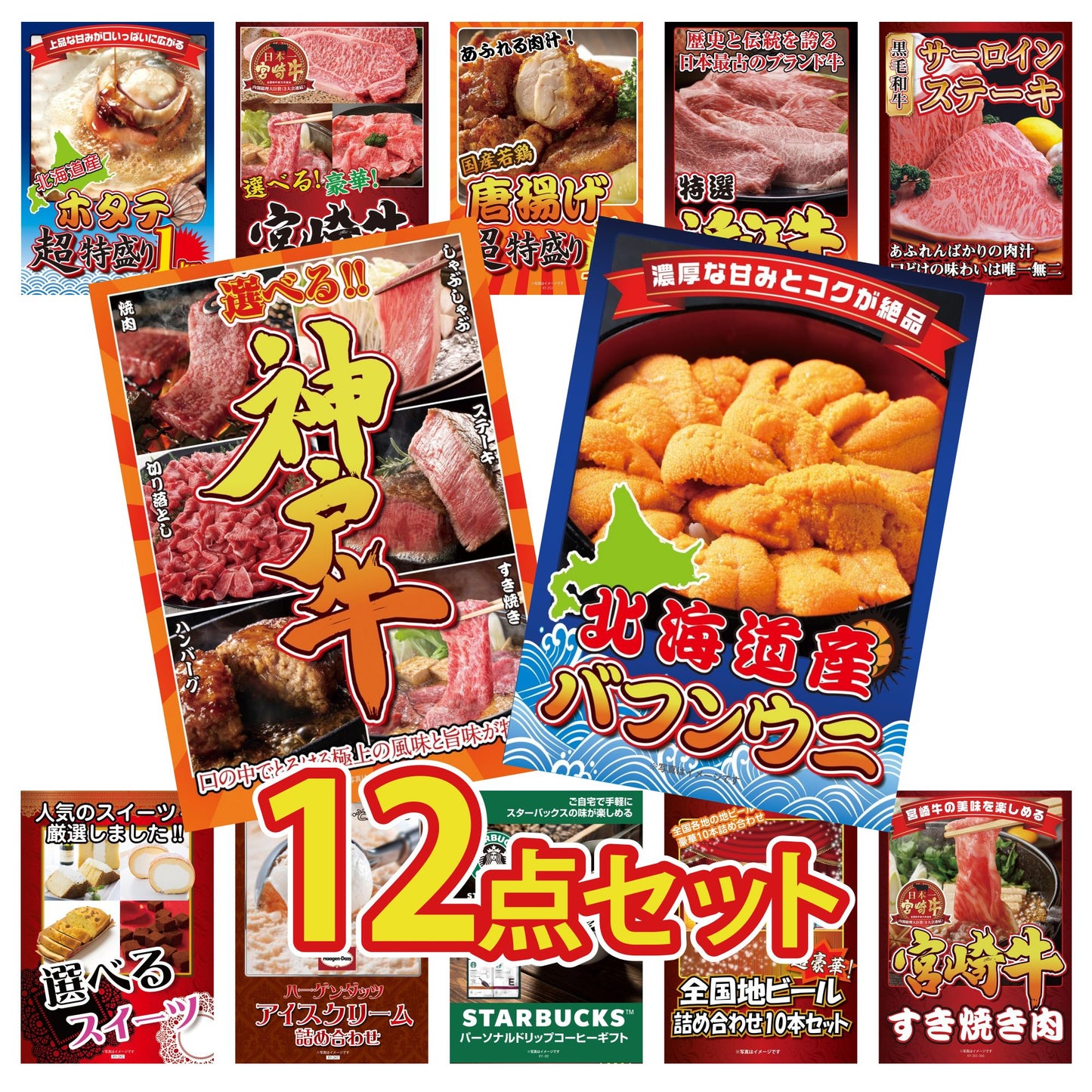 北海道 塩水バフンウニ(100g) 12点セット(KY-317)