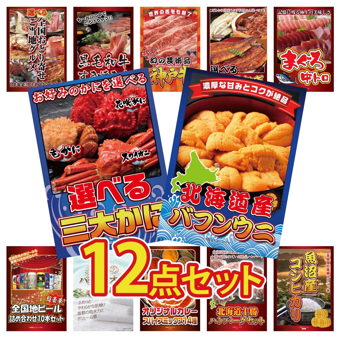 北海道 塩水バフンウニ(100g)12点セット