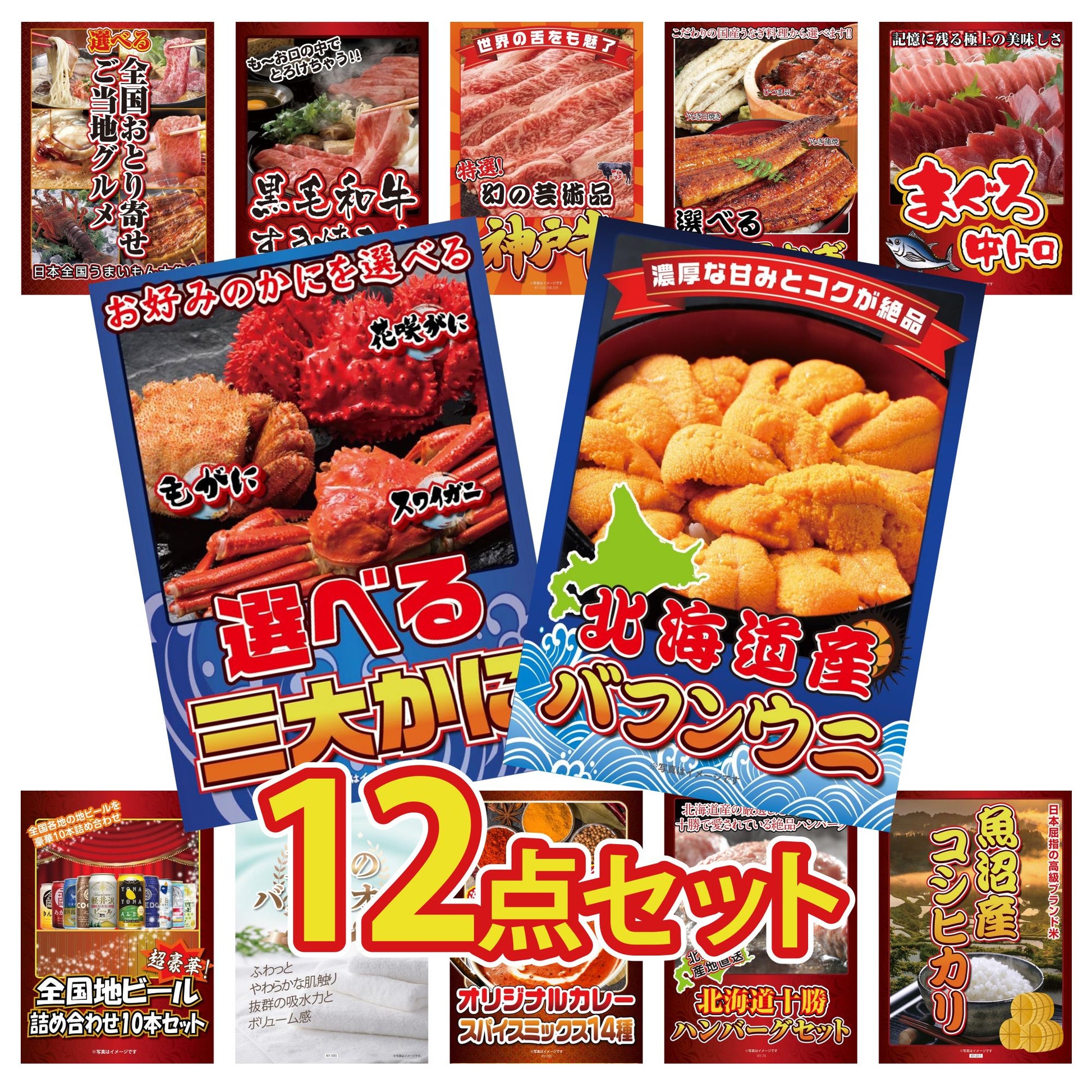 北海道 塩水バフンウニ(100g)12点セット