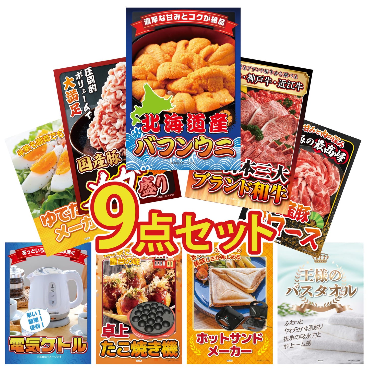 北海道 塩水バフンウニ(100g) 9点セット