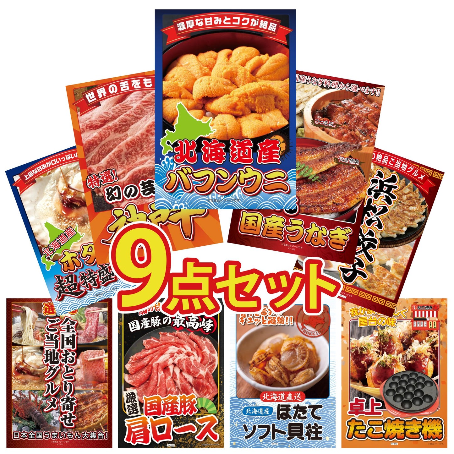 北海道 塩水バフンウニ(100g)9点セット