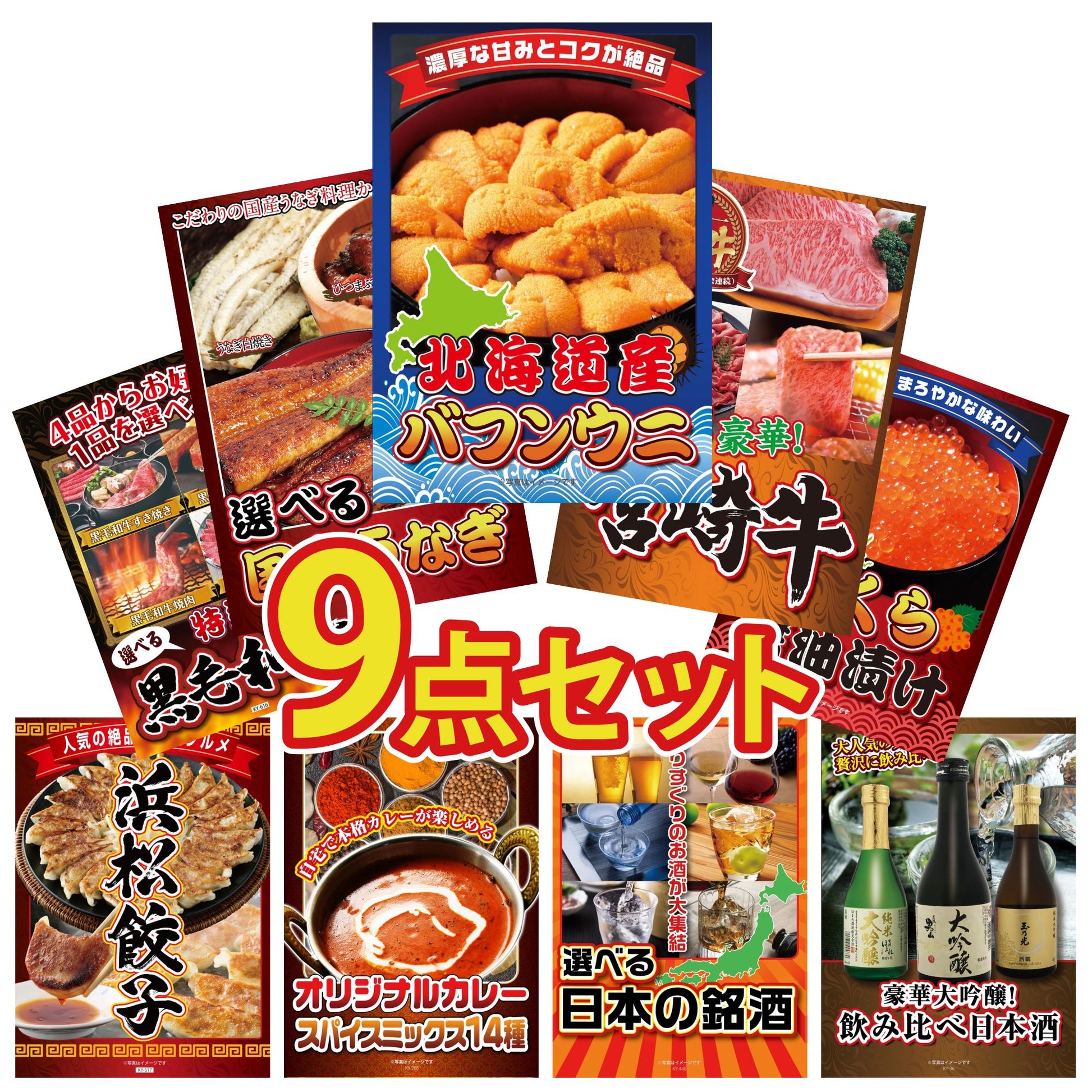 北海道 塩水バフンウニ(100g) 9点セット(KY-317)