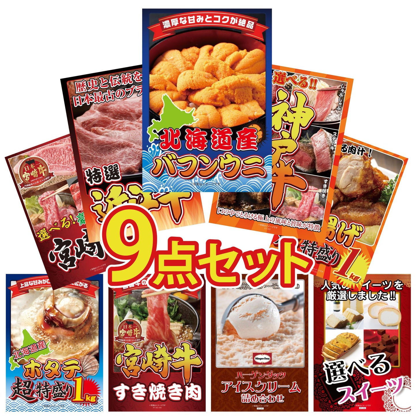 北海道 塩水バフンウニ(100g) 9点セット(KY-317)