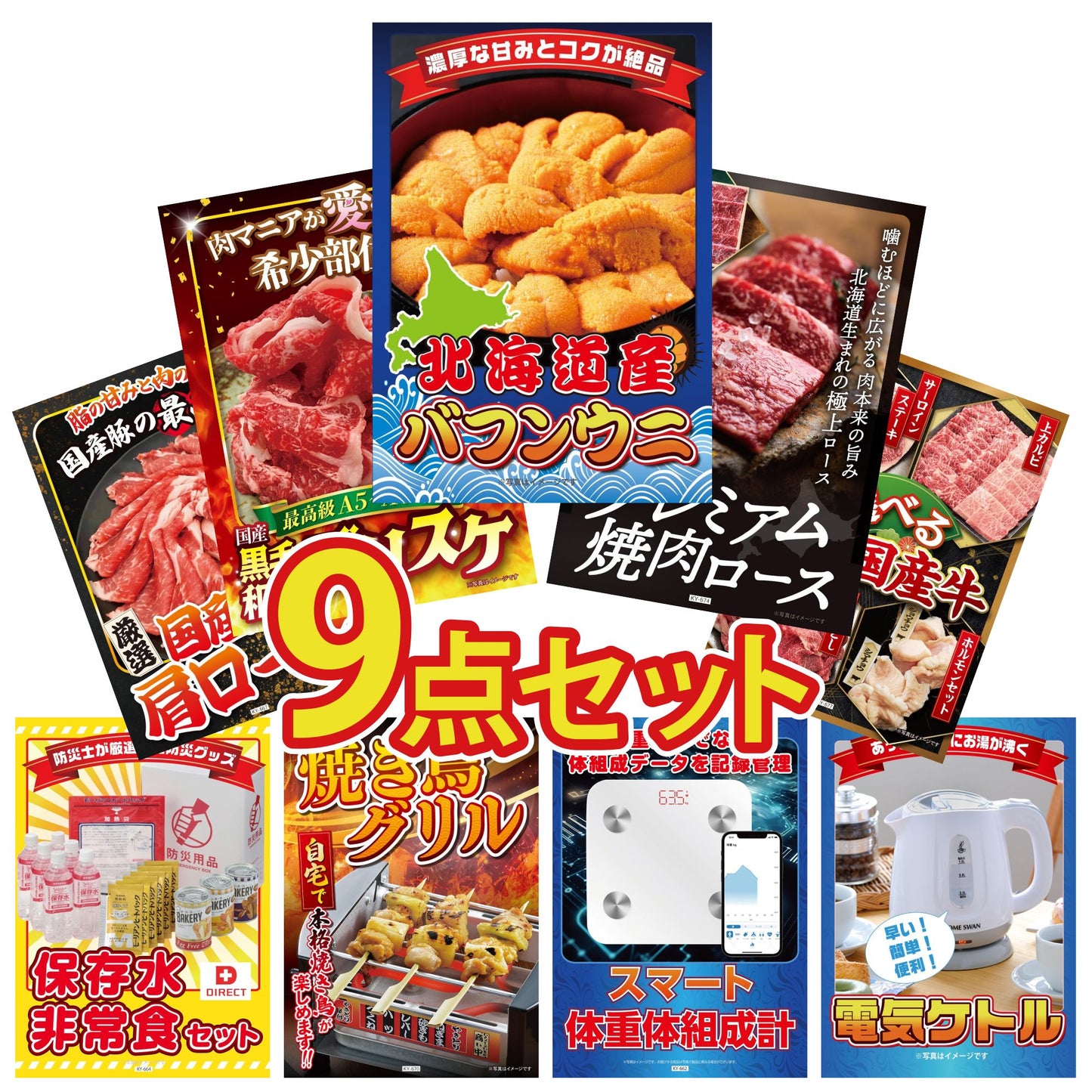 北海道 塩水バフンウニ(100g) 9点セット(KY-317)