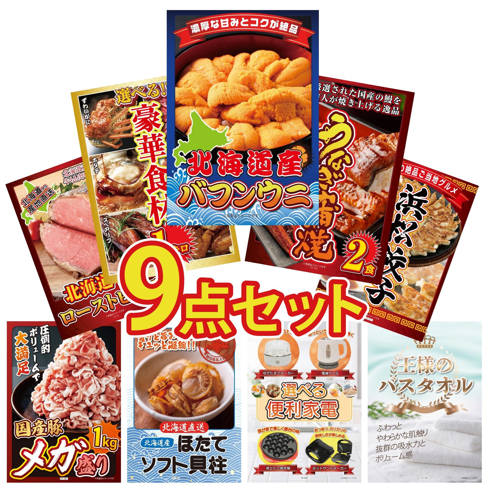 北海道 塩水バフンウニ(100g)9点セット