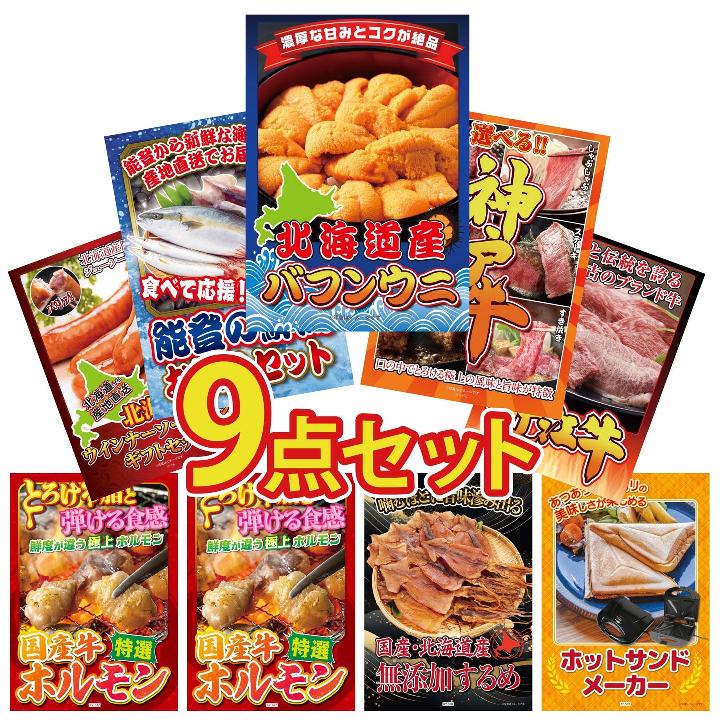 北海道 塩水バフンウニ(100g)9点セット