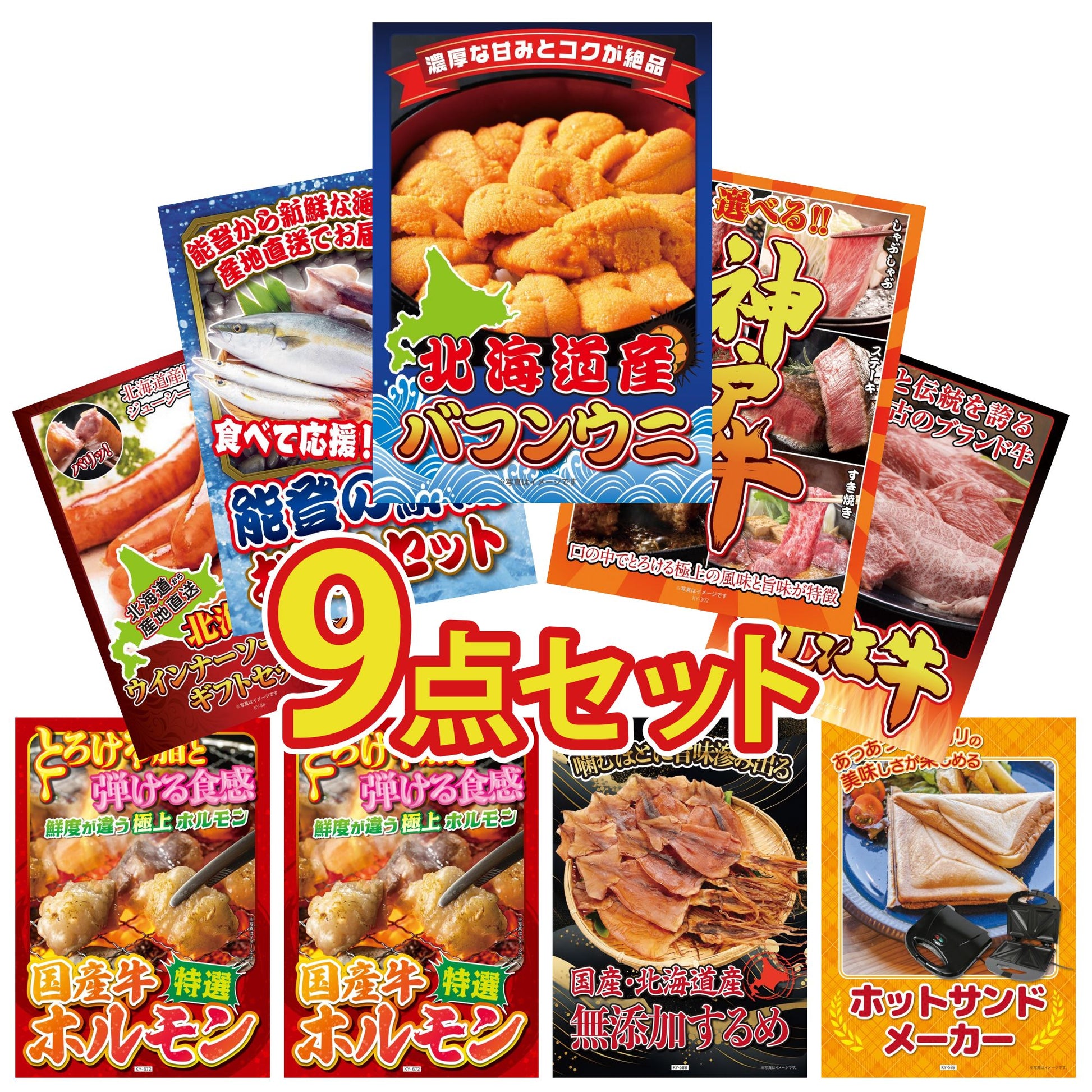 北海道 塩水バフンウニ(100g)9点セット