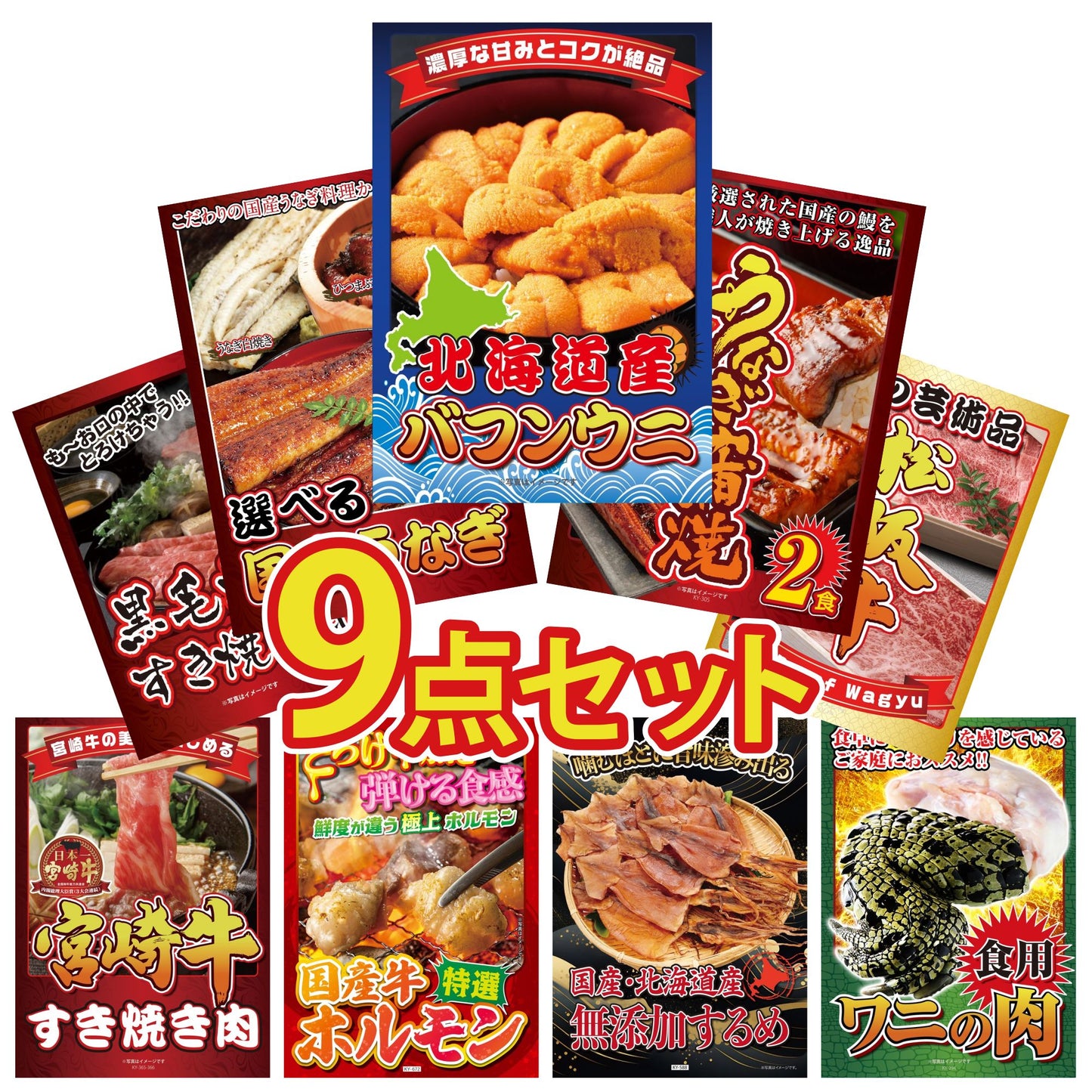 北海道 塩水バフンウニ(100g)9点セット