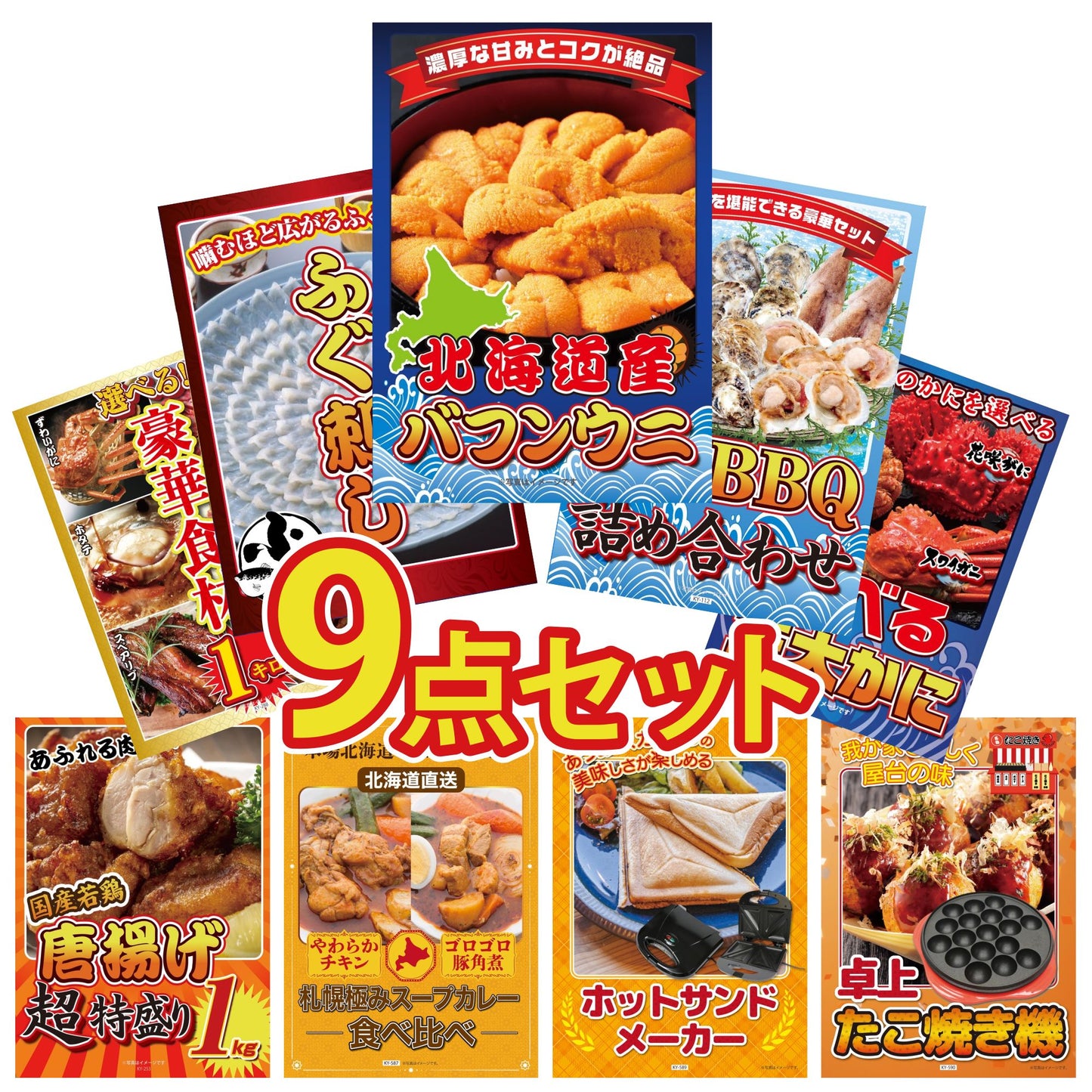 北海道 塩水バフンウニ(100g)9点セット