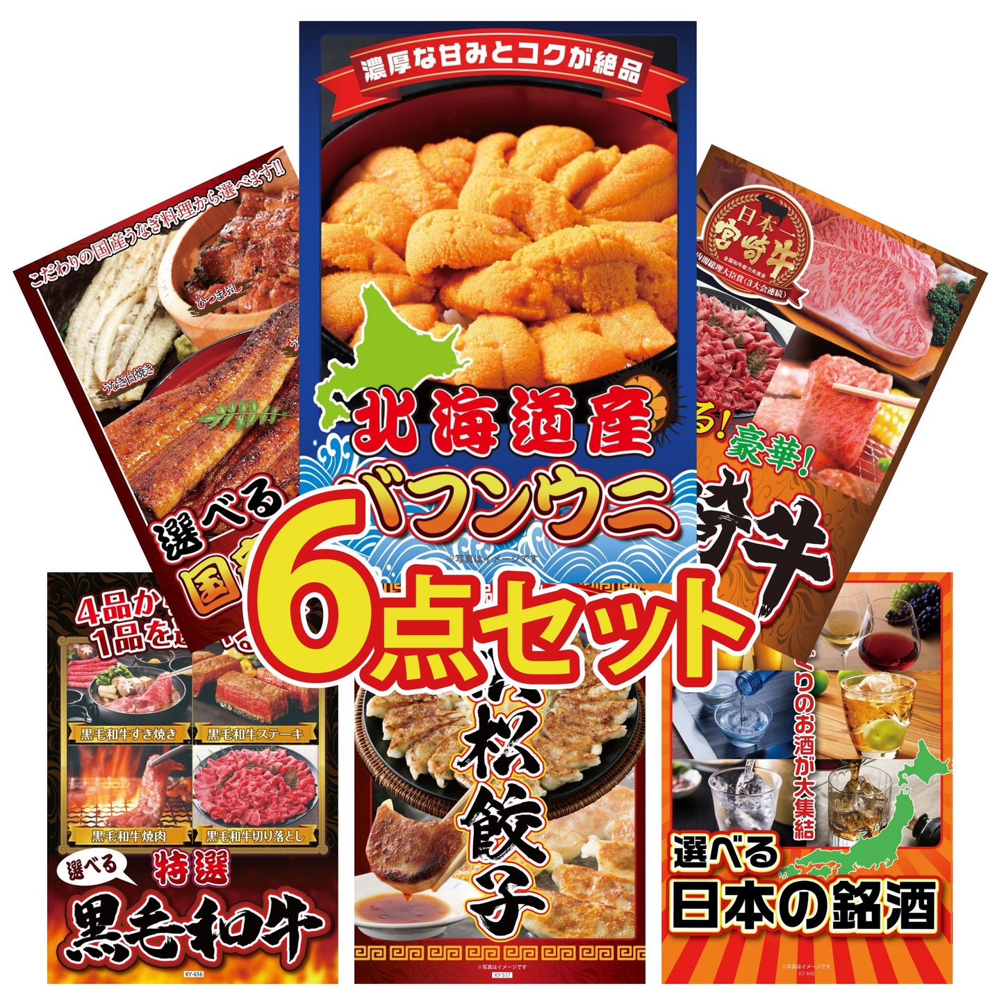 北海道 塩水バフンウニ(100g) 6点セット(KY-317)