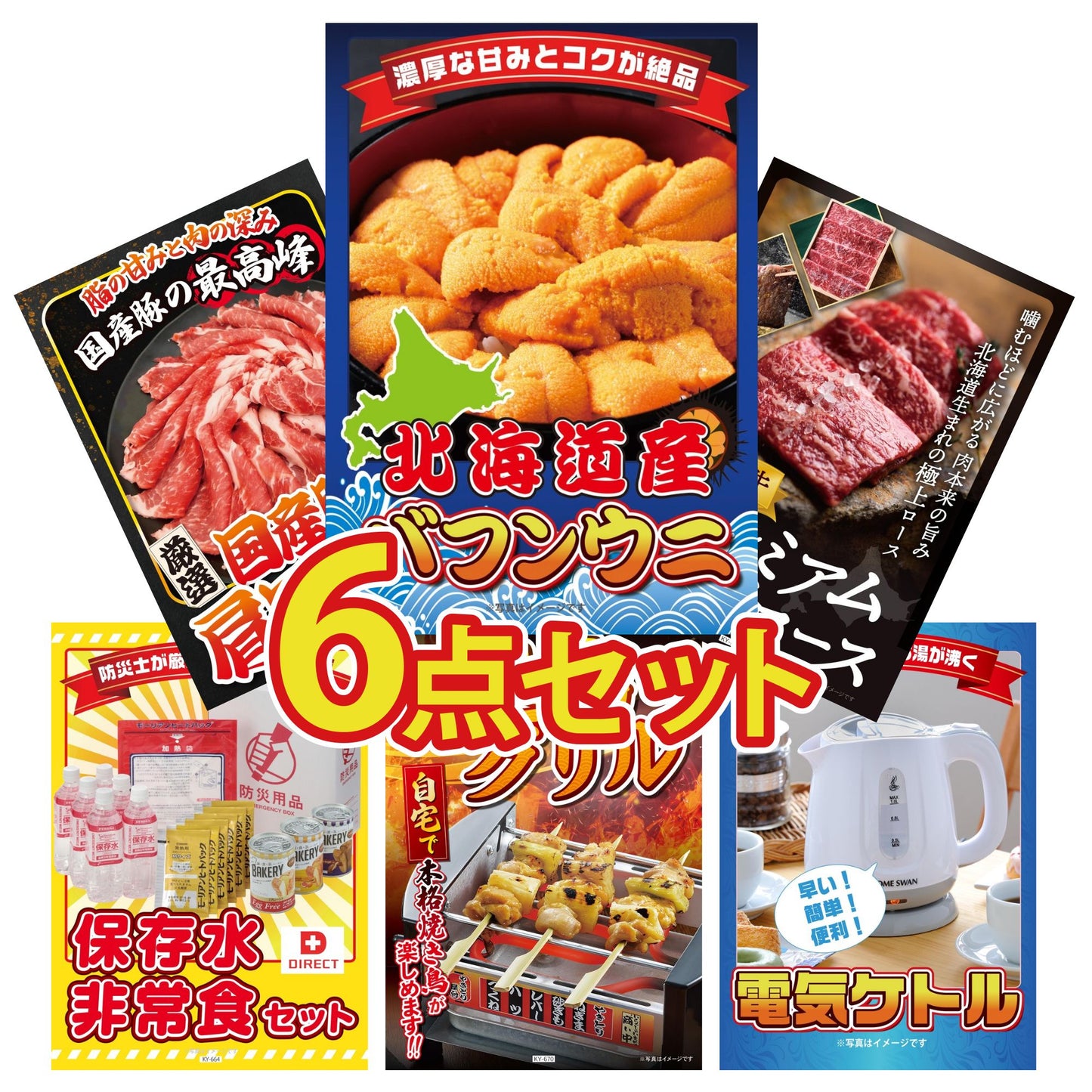 北海道 塩水バフンウニ(100g) 6点セット(KY-317)