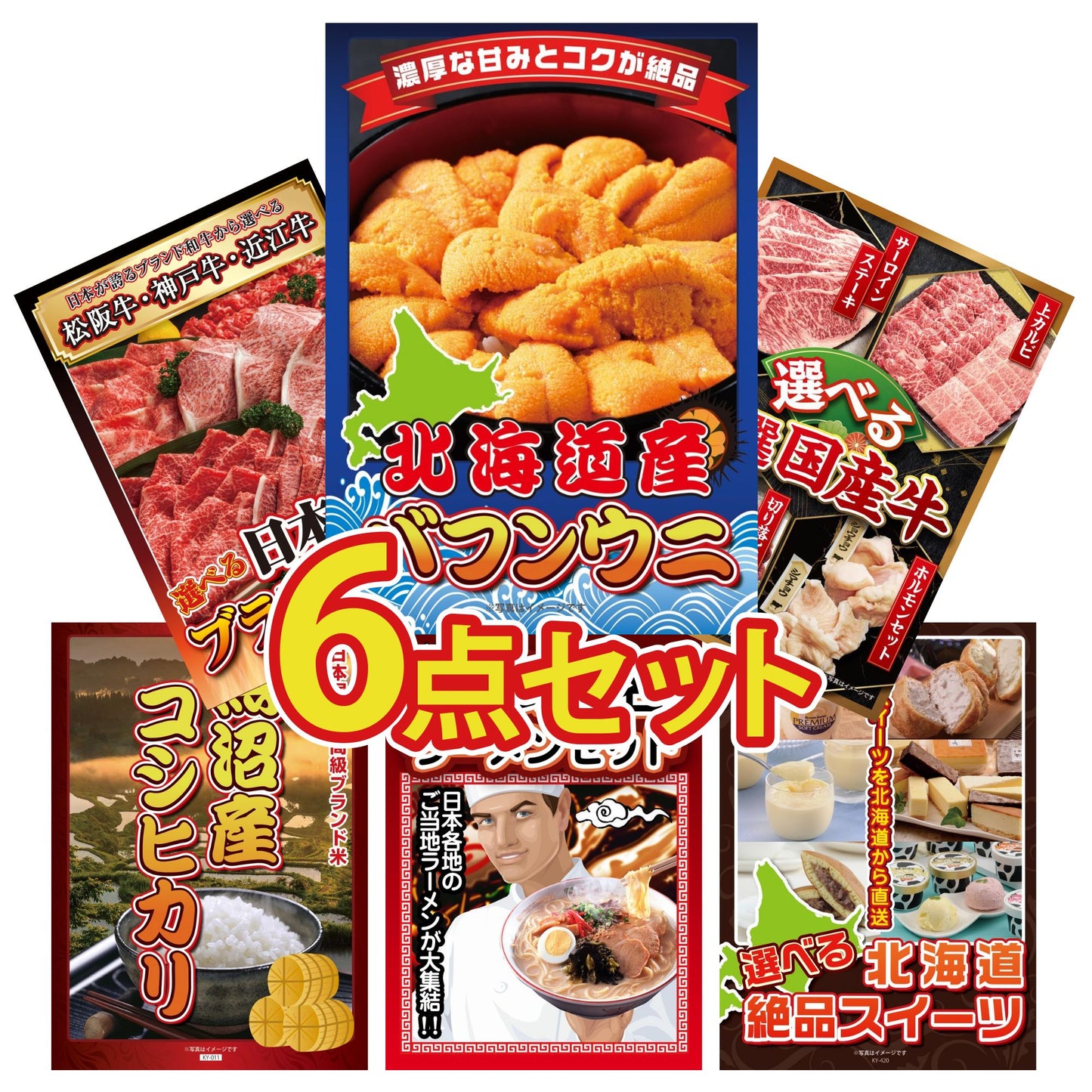 北海道 塩水バフンウニ(100g)6点セット