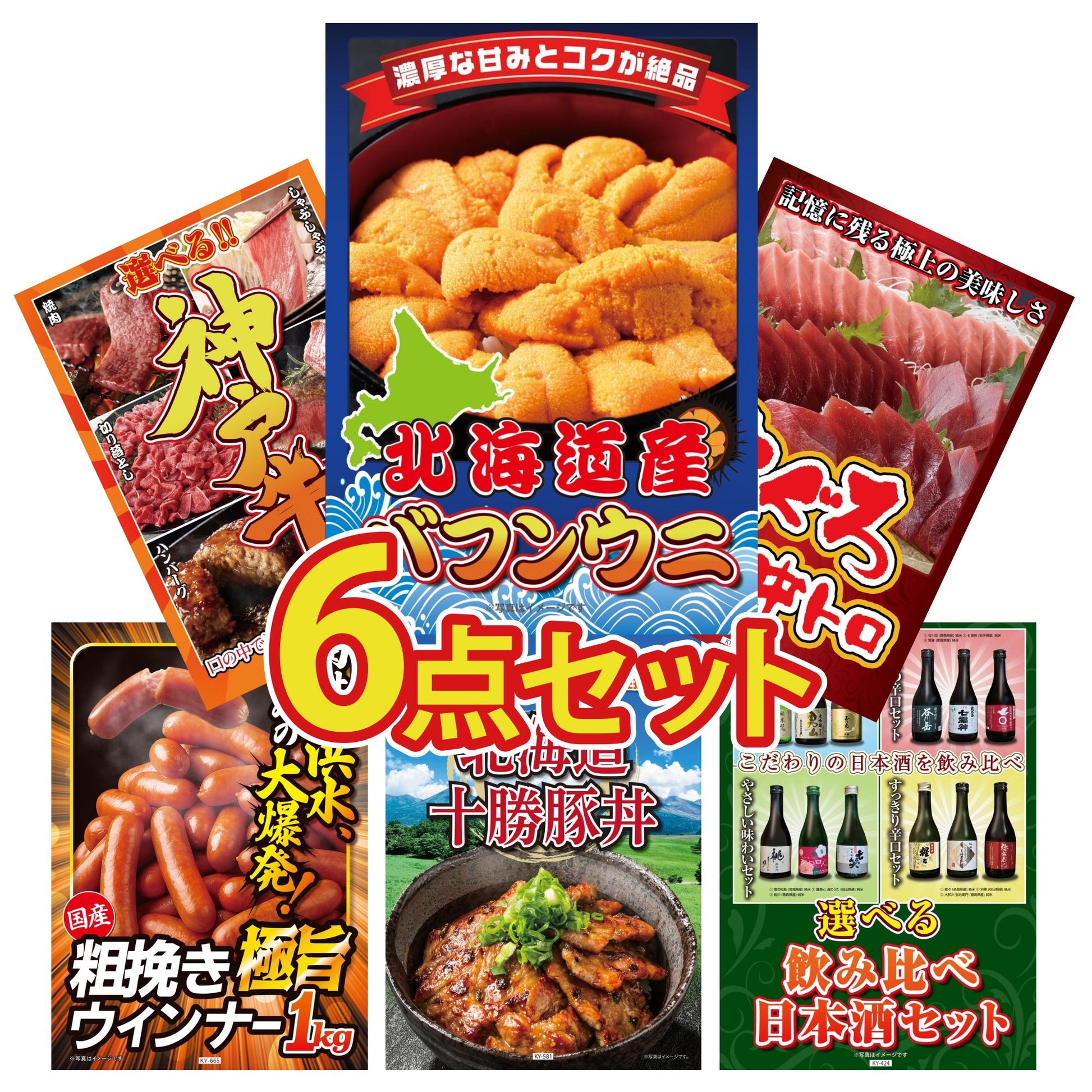 北海道 塩水バフンウニ(100g)6点セット