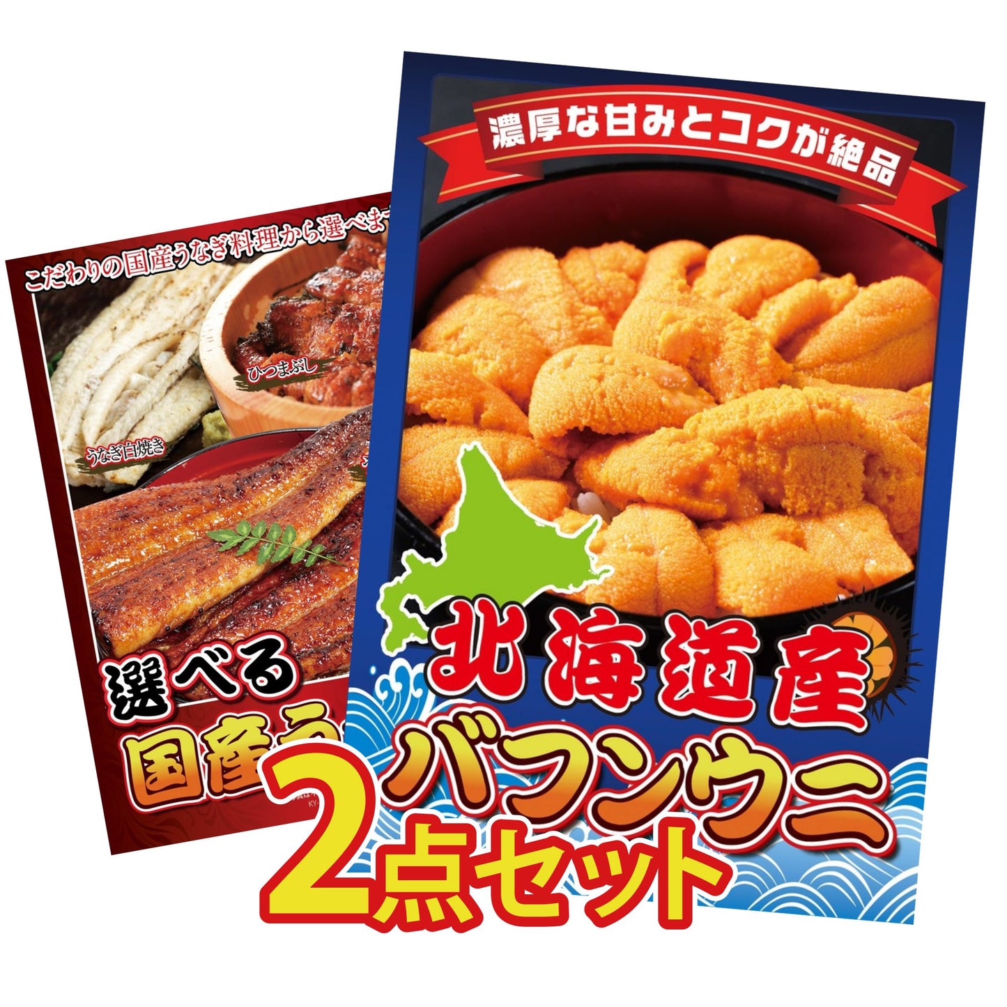 北海道 塩水バフンウニ(100g) 2点セット(KY-317)